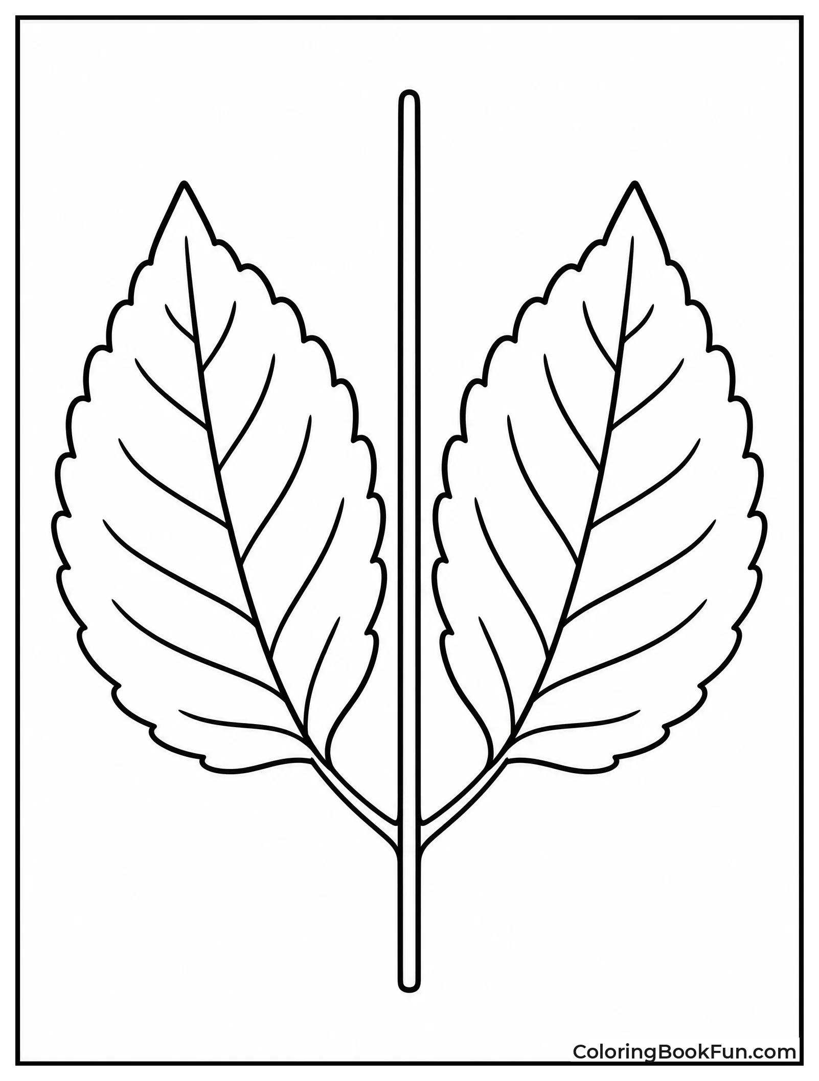 Two Leaves Mirror Each Other
