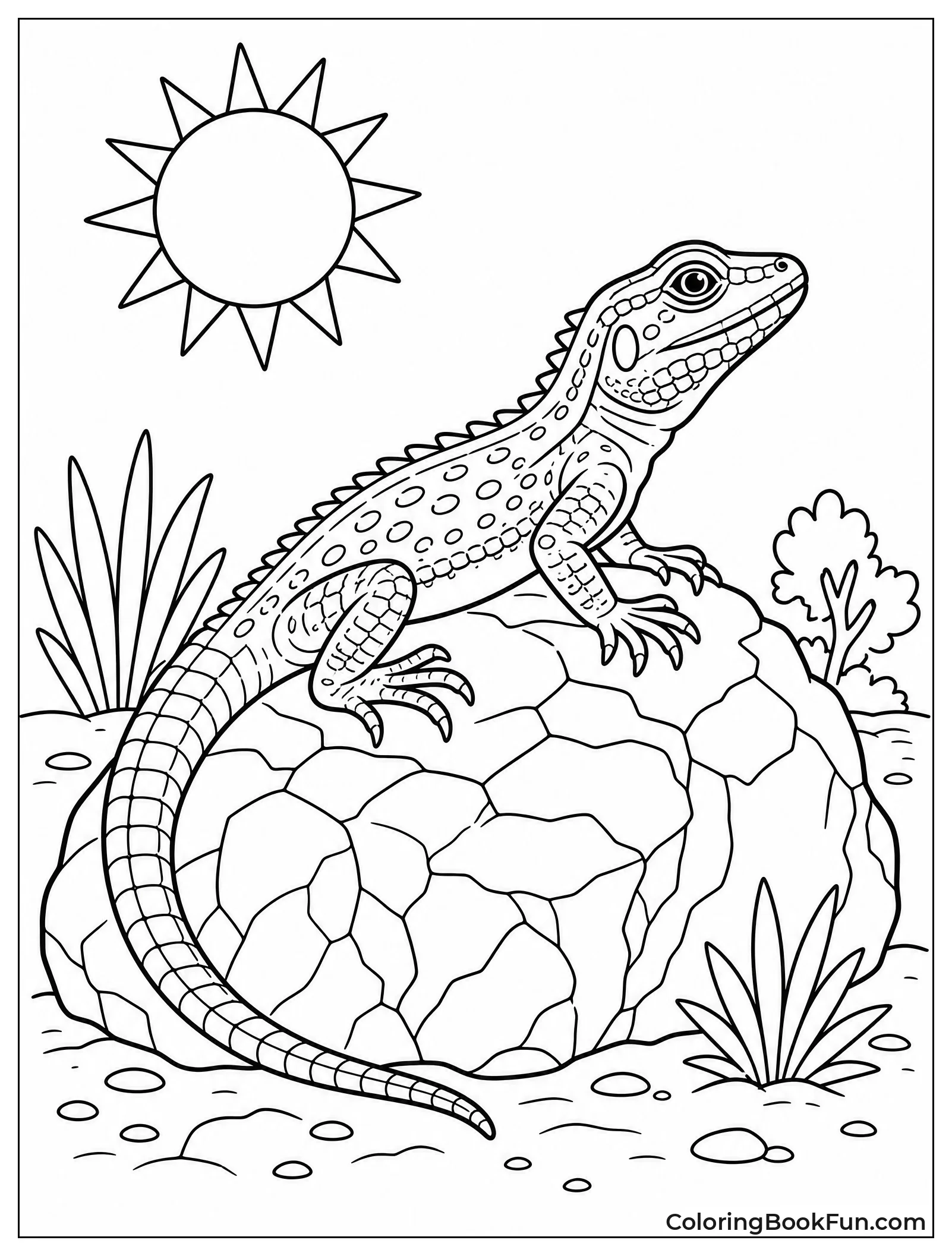 Lizard Sitting on Sunny Rock