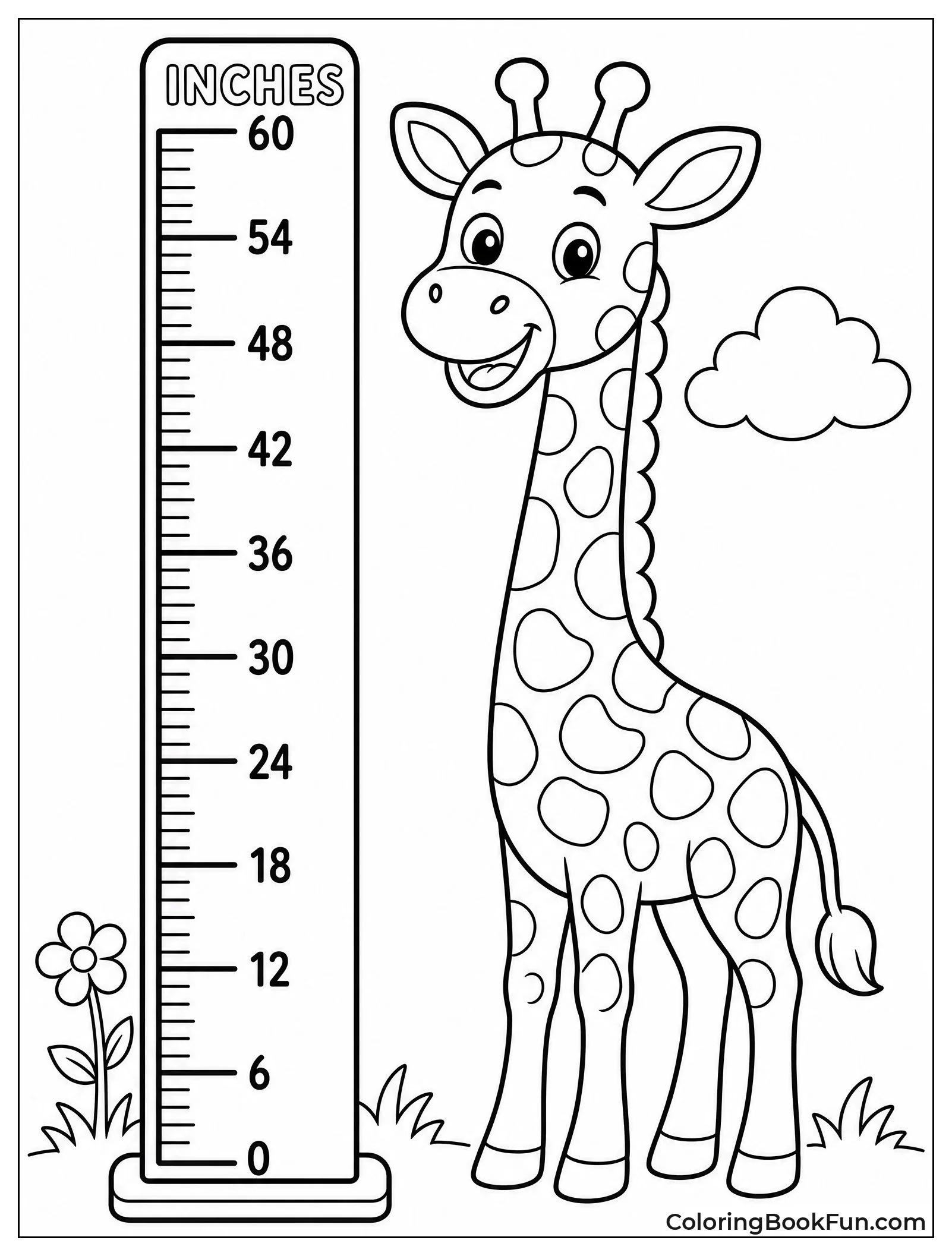 Giraffe Next to Ruler