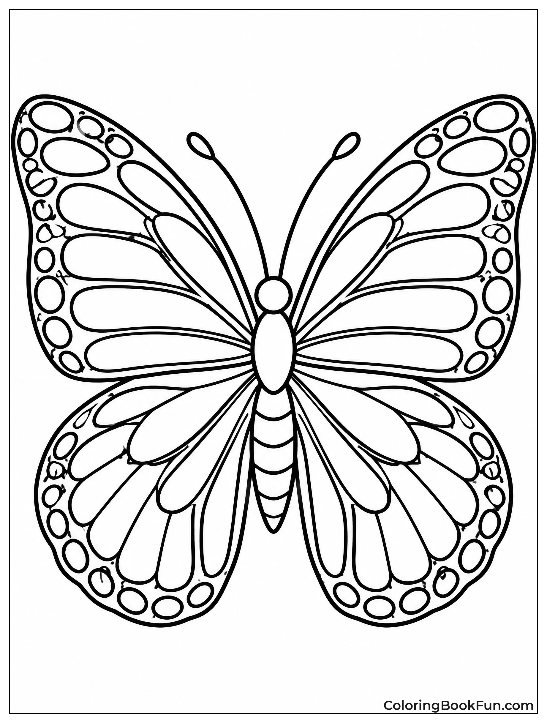 Symmetrical Wings of a Monarch