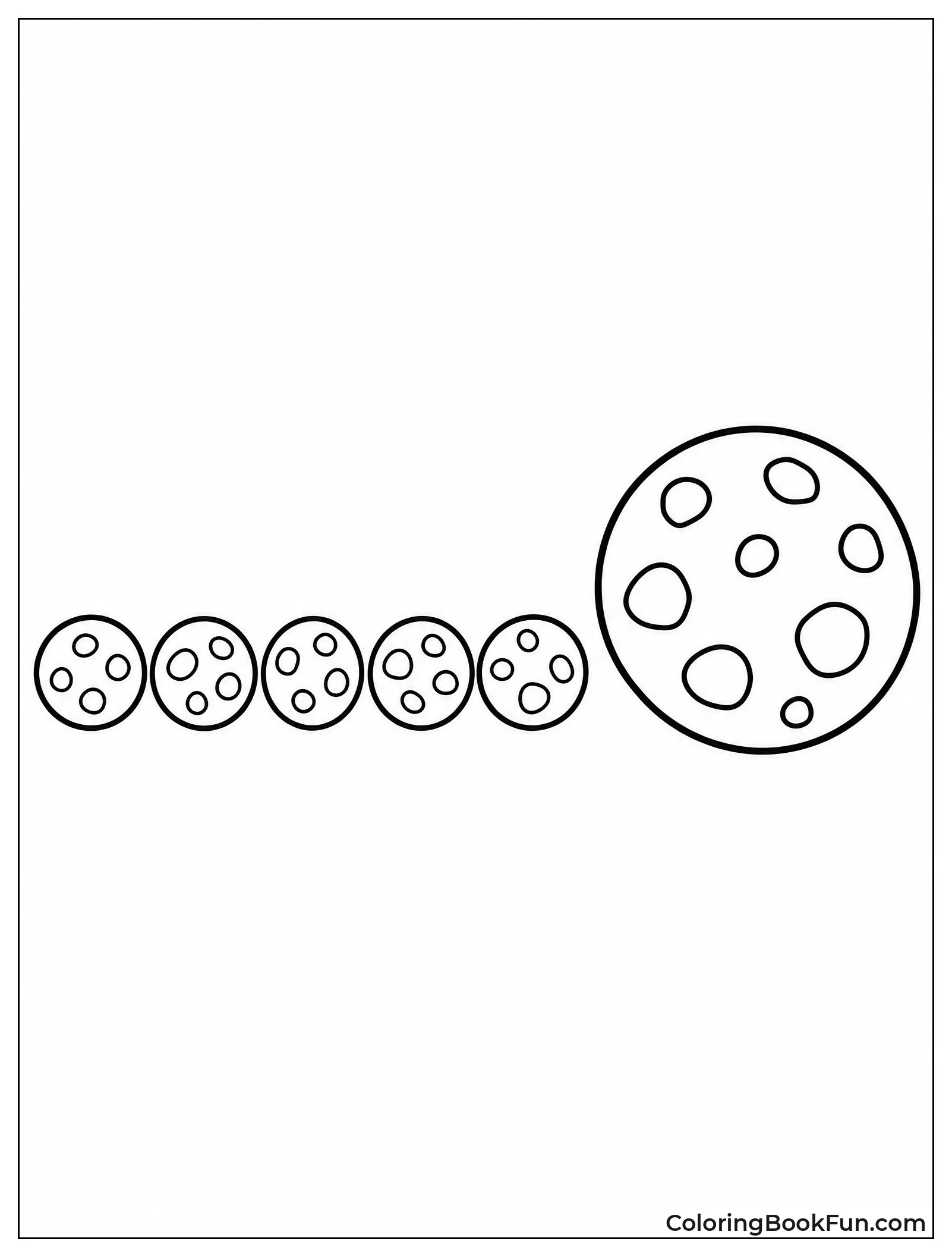 Small Cookies Beside Regular One