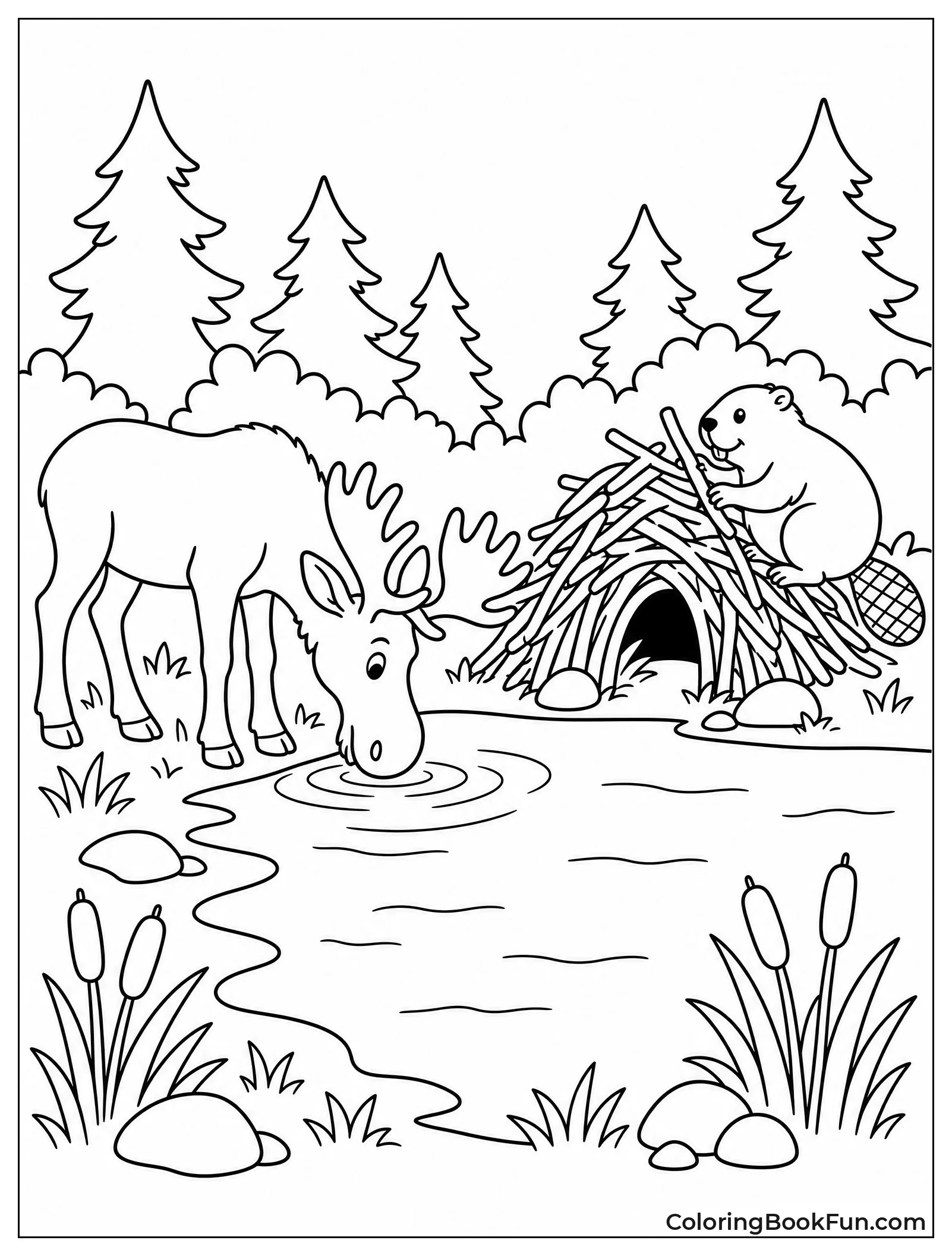 Moose and Beaver at Pond