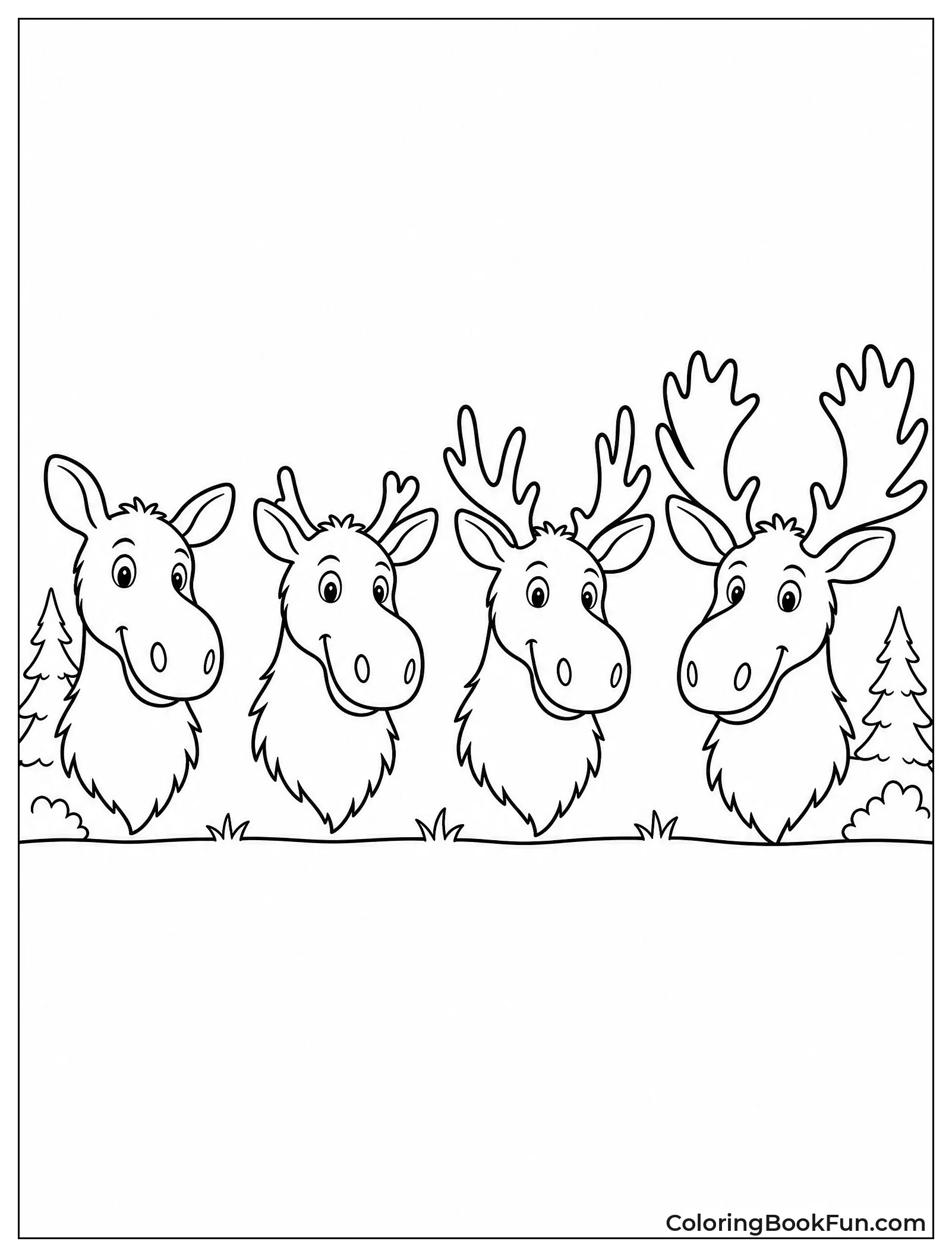 Moose Antler Growth Stages