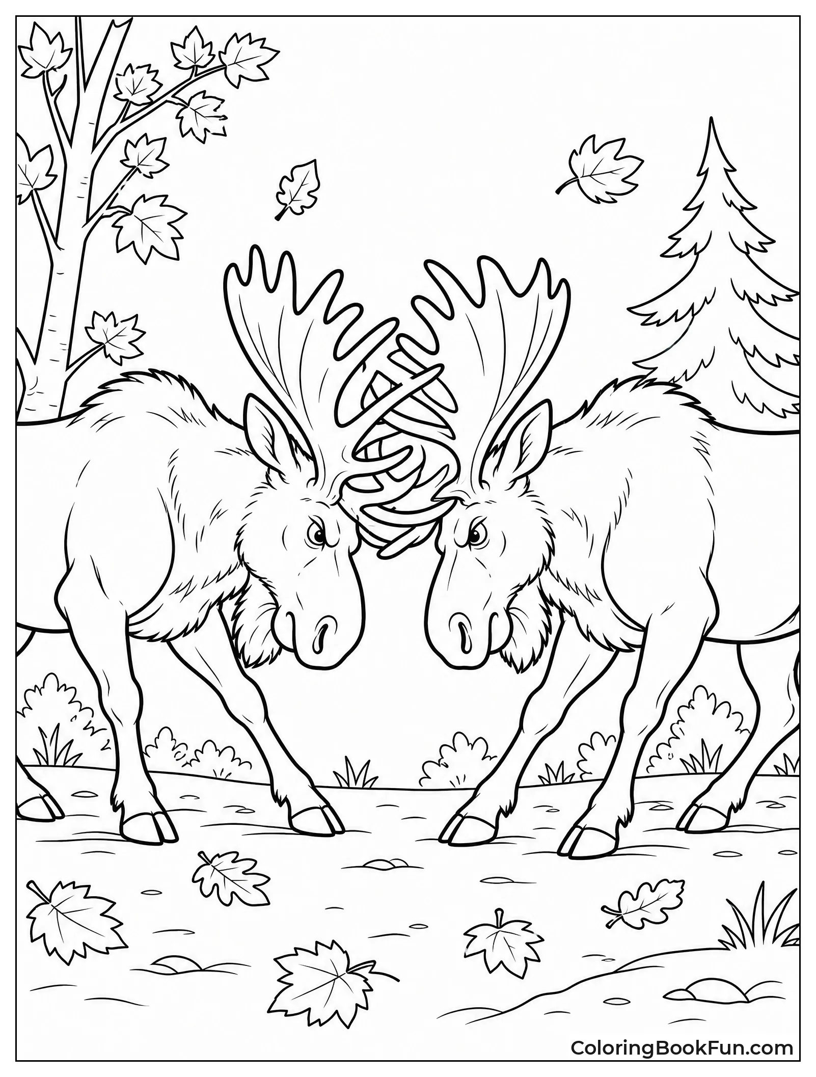 Bulls Locking Antlers in Autumn