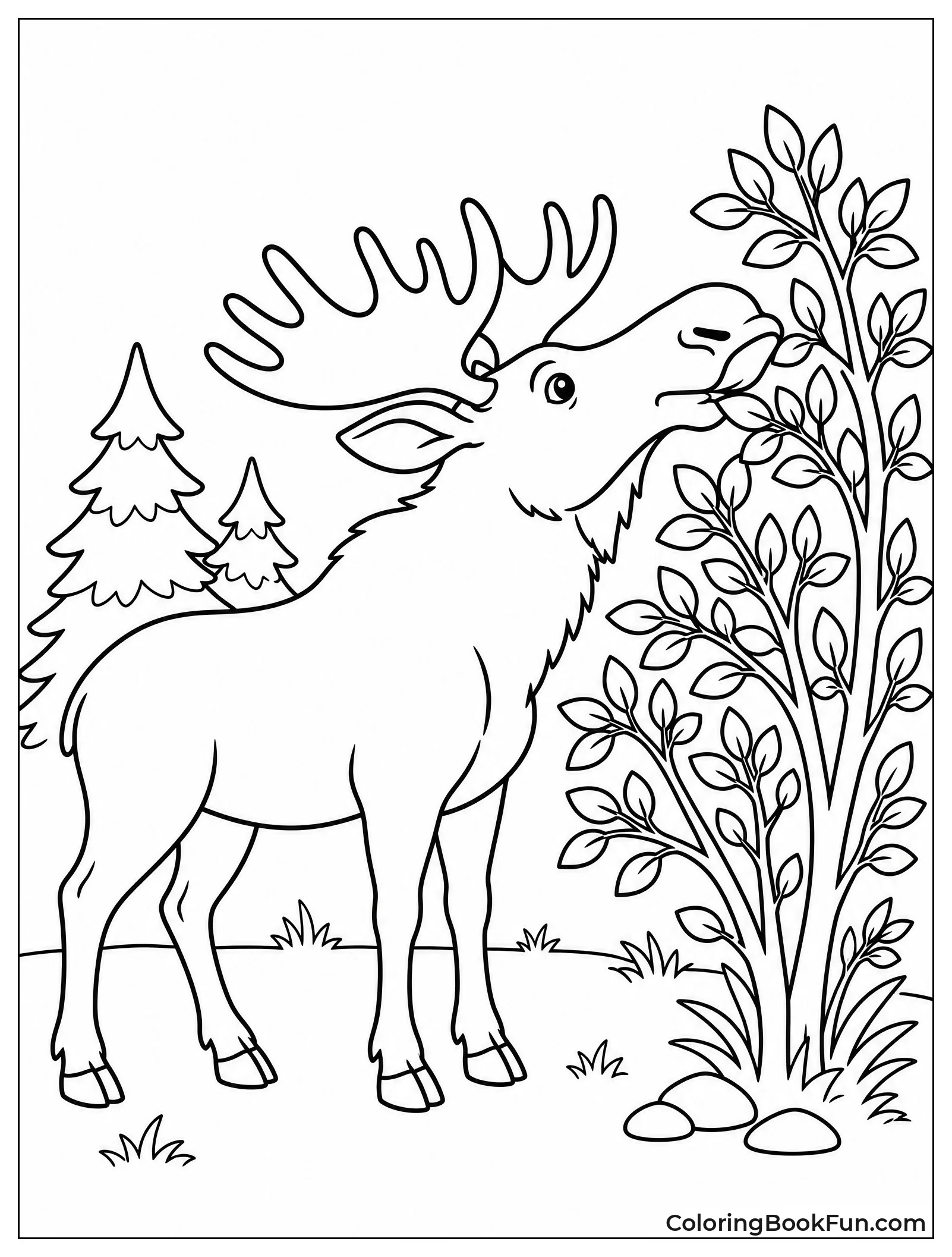 Moose Eating Leaves from Bush