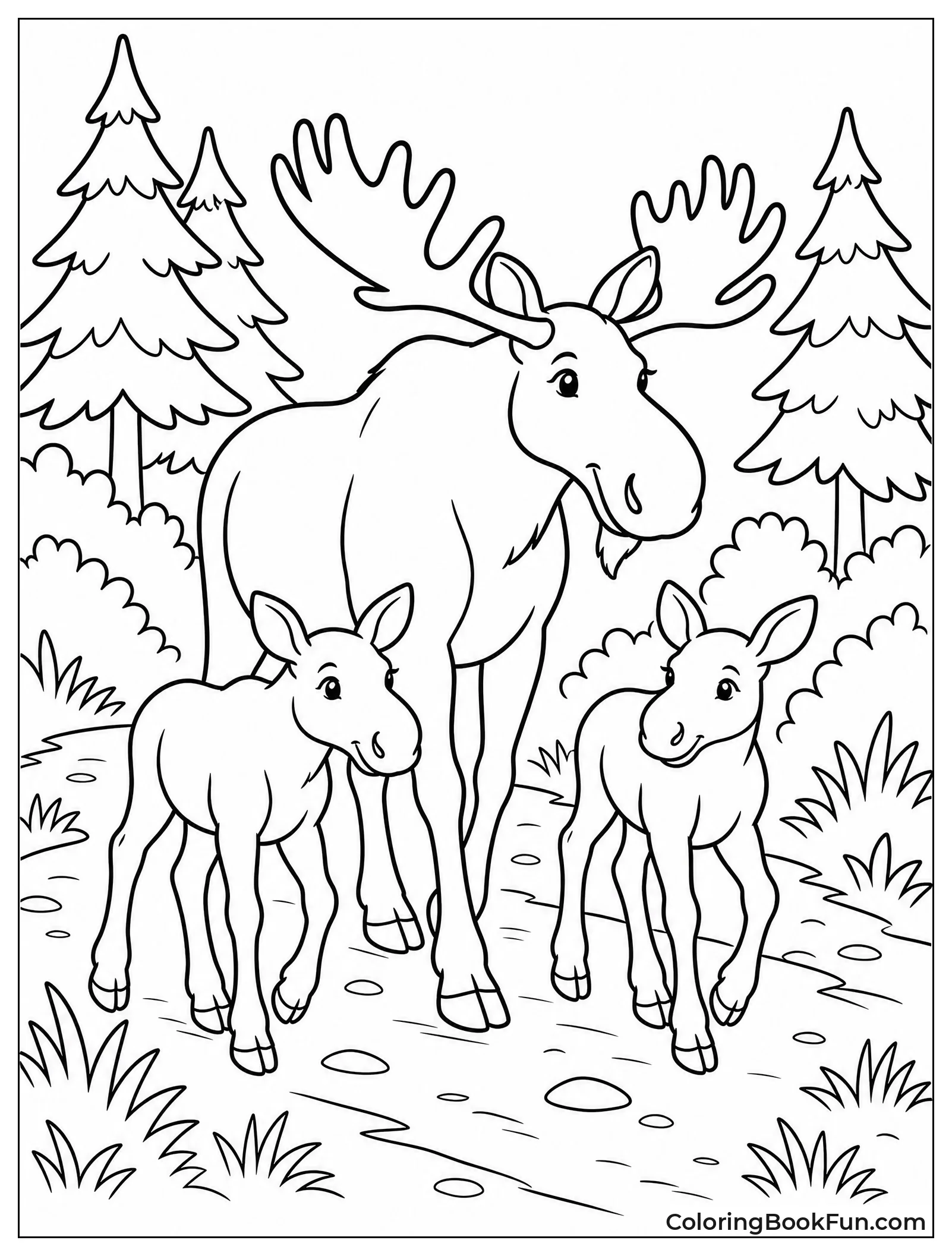 Moose Family Walking in Woods