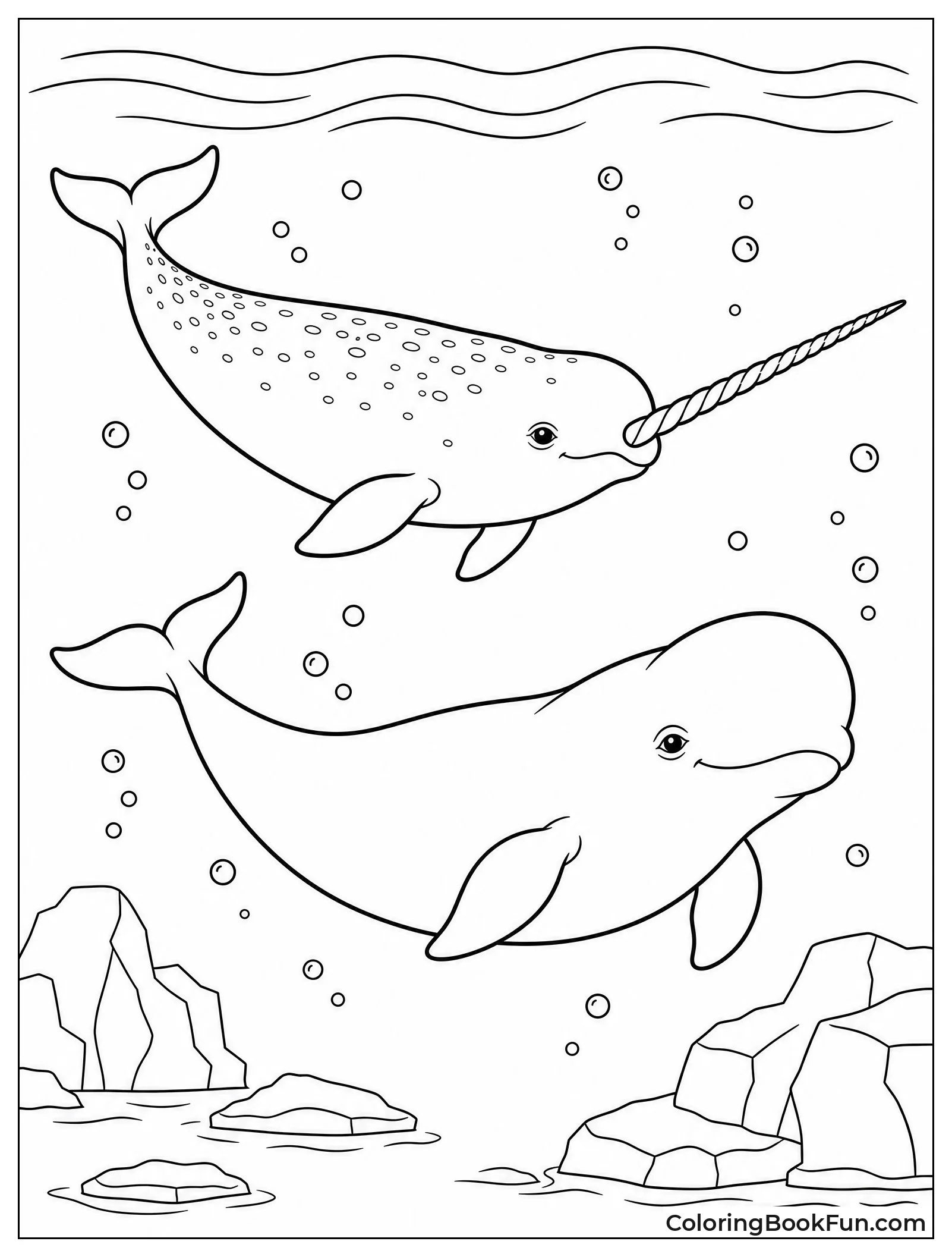 Narwhal Swimming with Beluga Whale