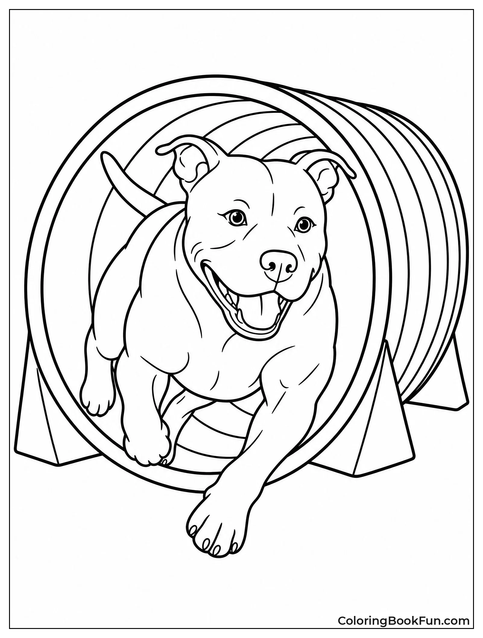 Pitbull Dashing through Agility Tunnel