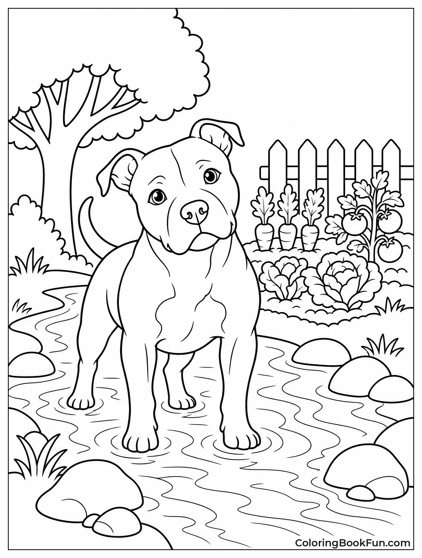 Pitbull Exploring Rocky Stream