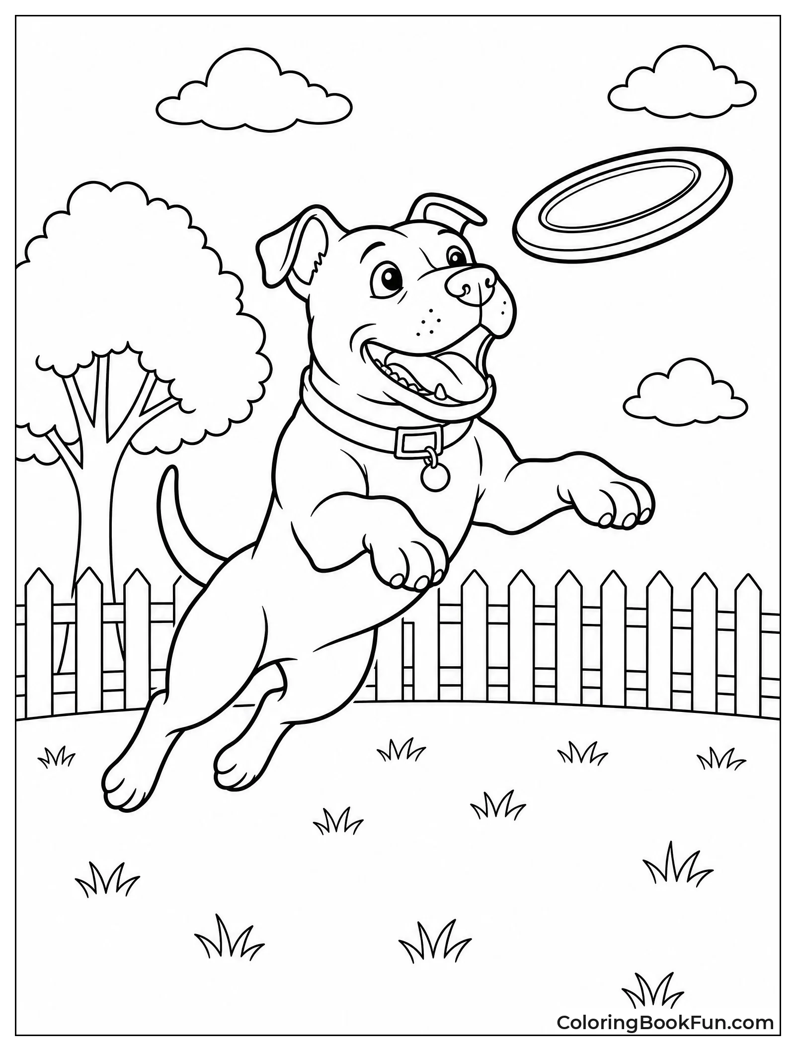 Pitbull Jumping to Catch Frisbee