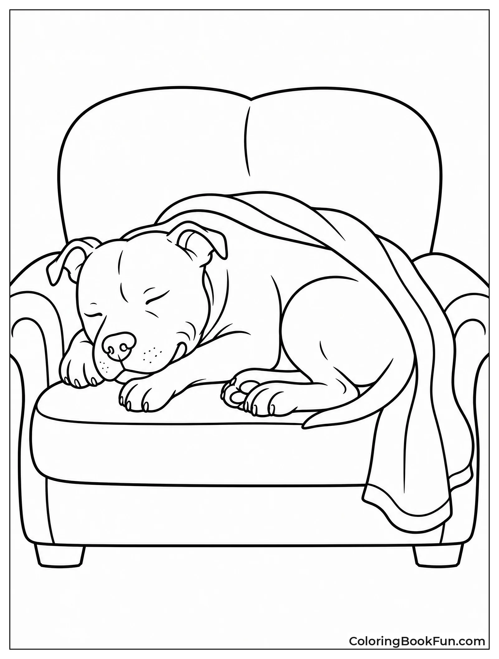Relaxed Pitbull Sleeping on Sofa