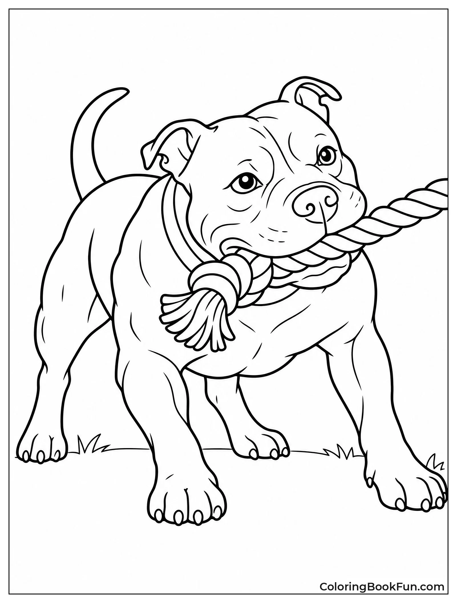 Pitbull Pulling Thick Rope Toy