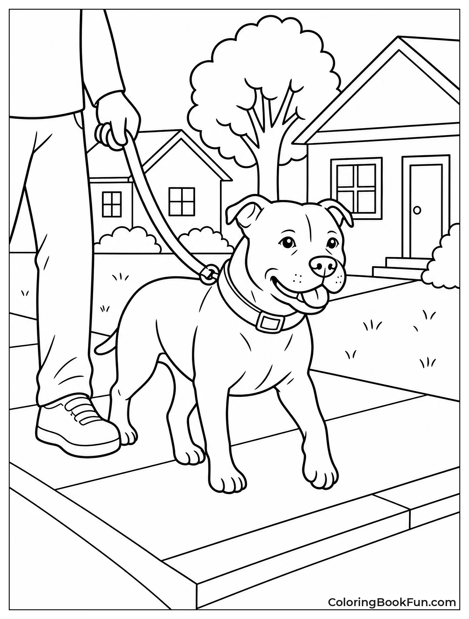 Calm Pitbull Walking on Leash