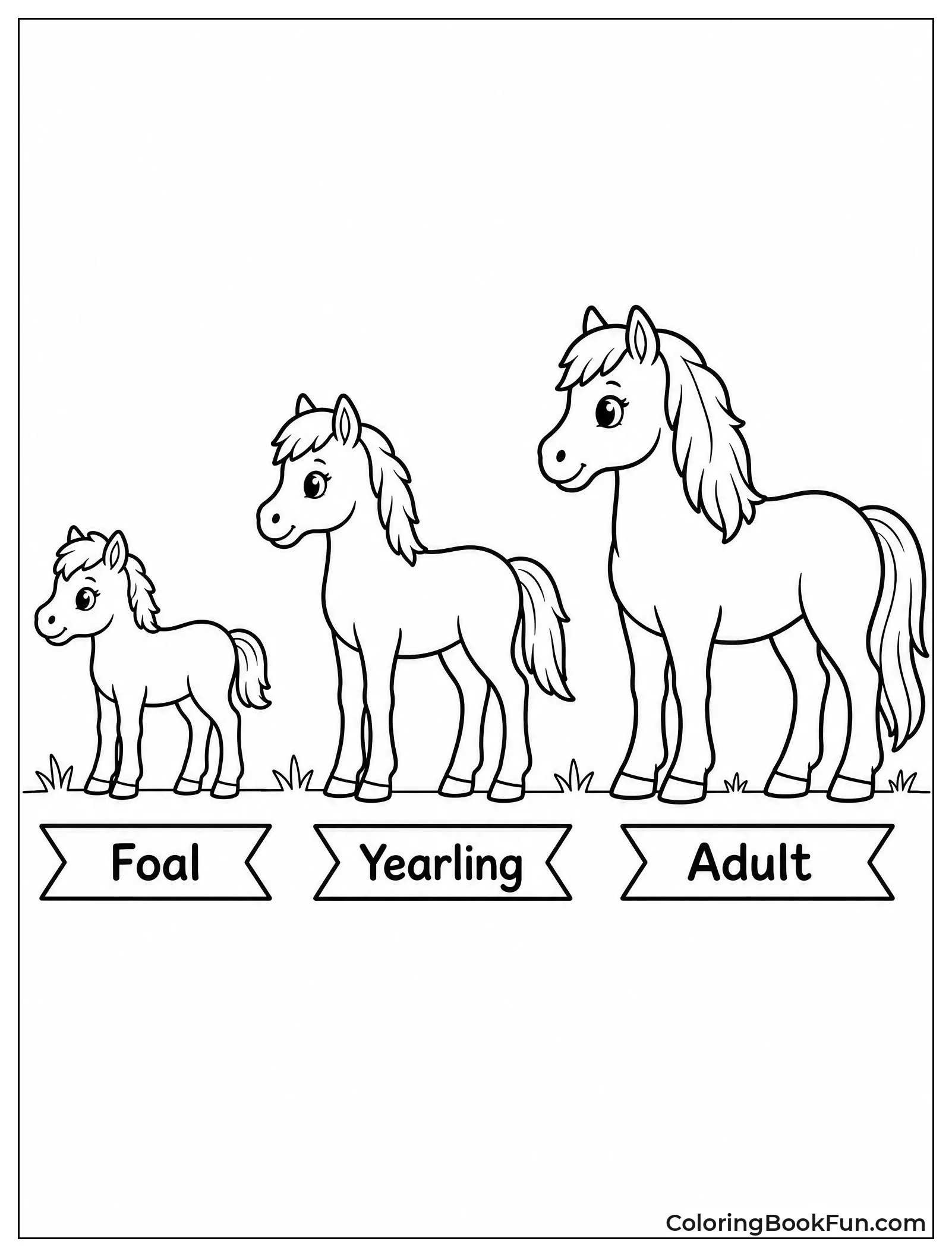 Pony Growing from Foal to Adult