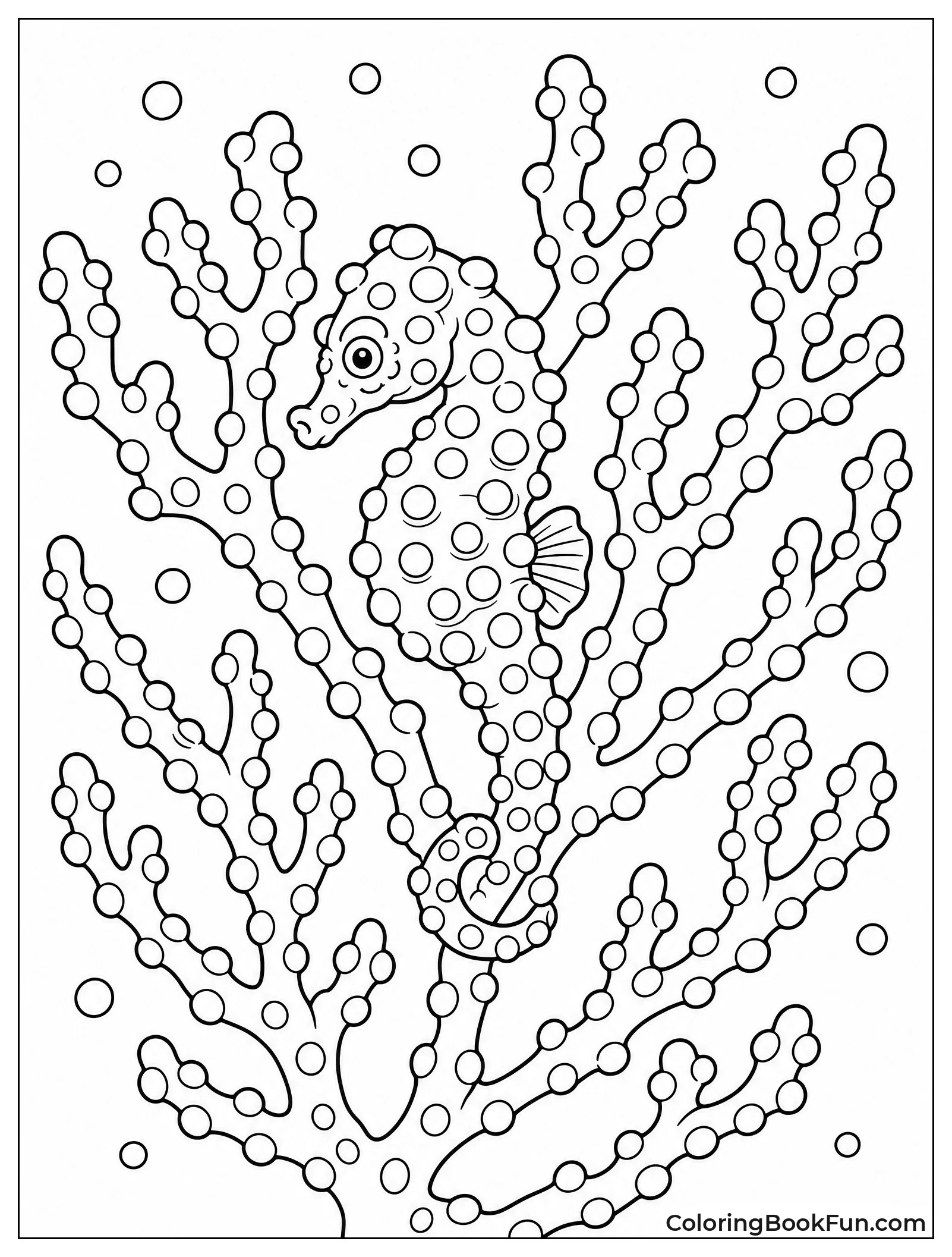 Pygmy Seahorse Blending into Coral