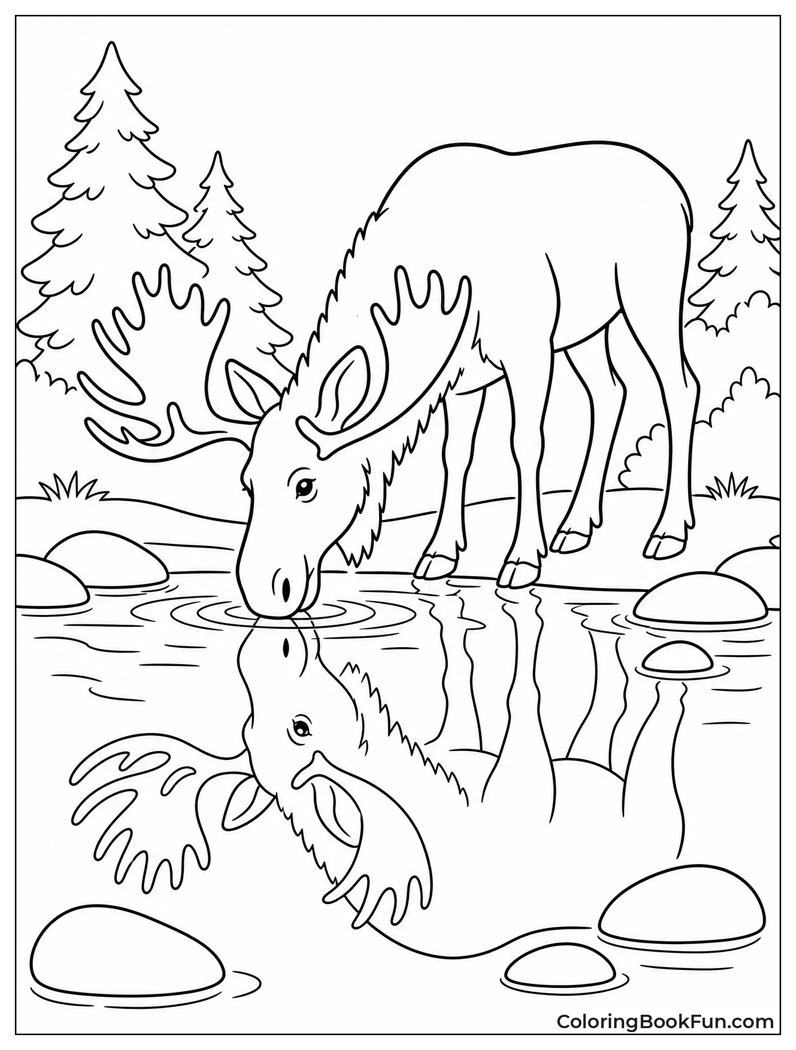 Realistic Moose Drinking from River