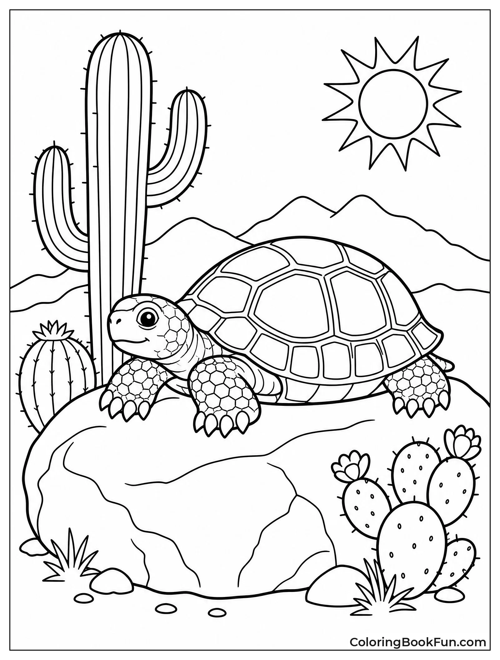 Tortoise Resting on Warm Boulder