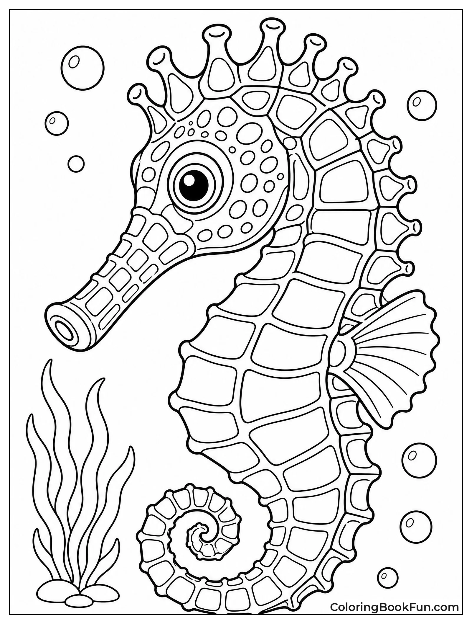 Close Up Seahorse Head Portrait