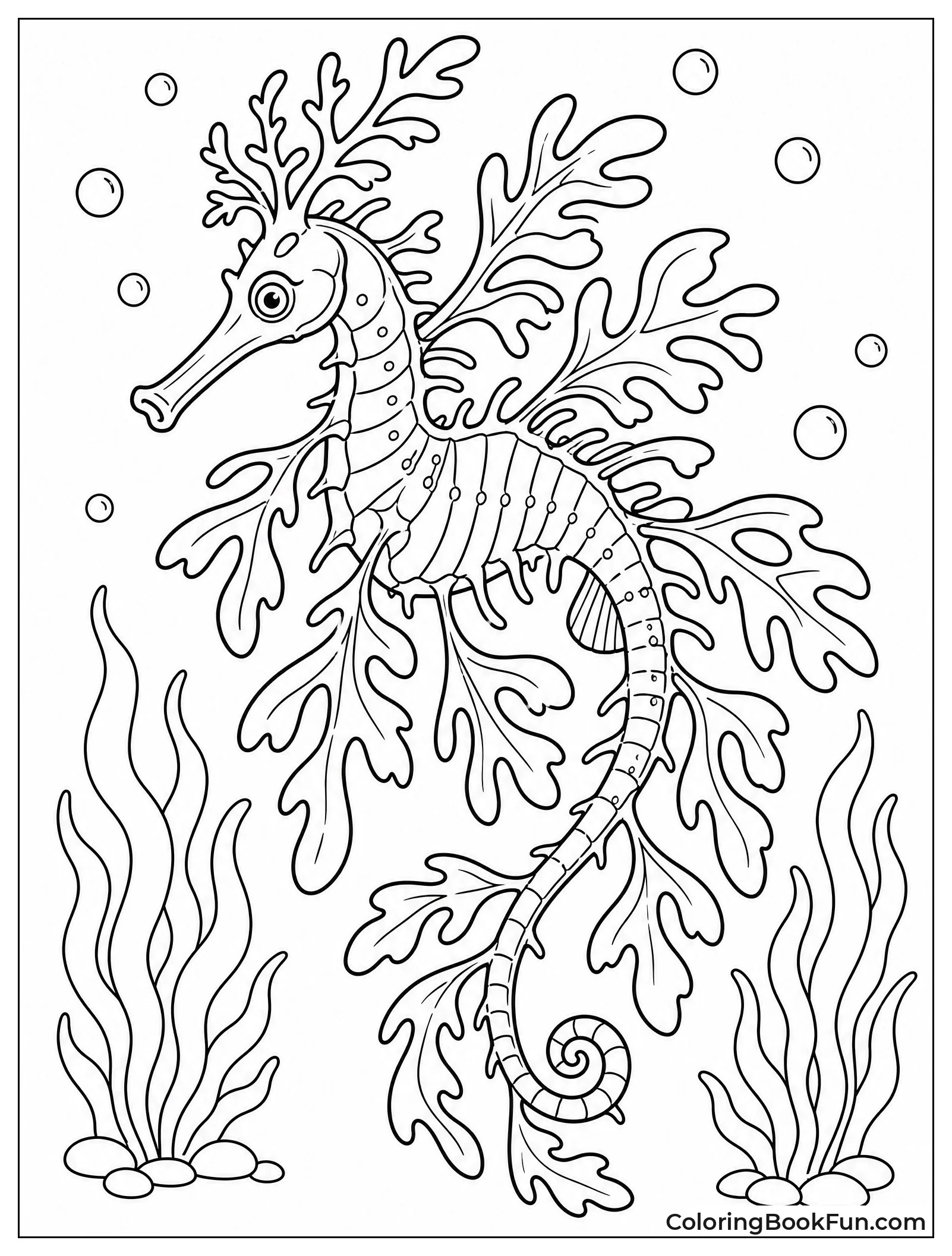 Leafy Sea Dragon with Flowing Fins