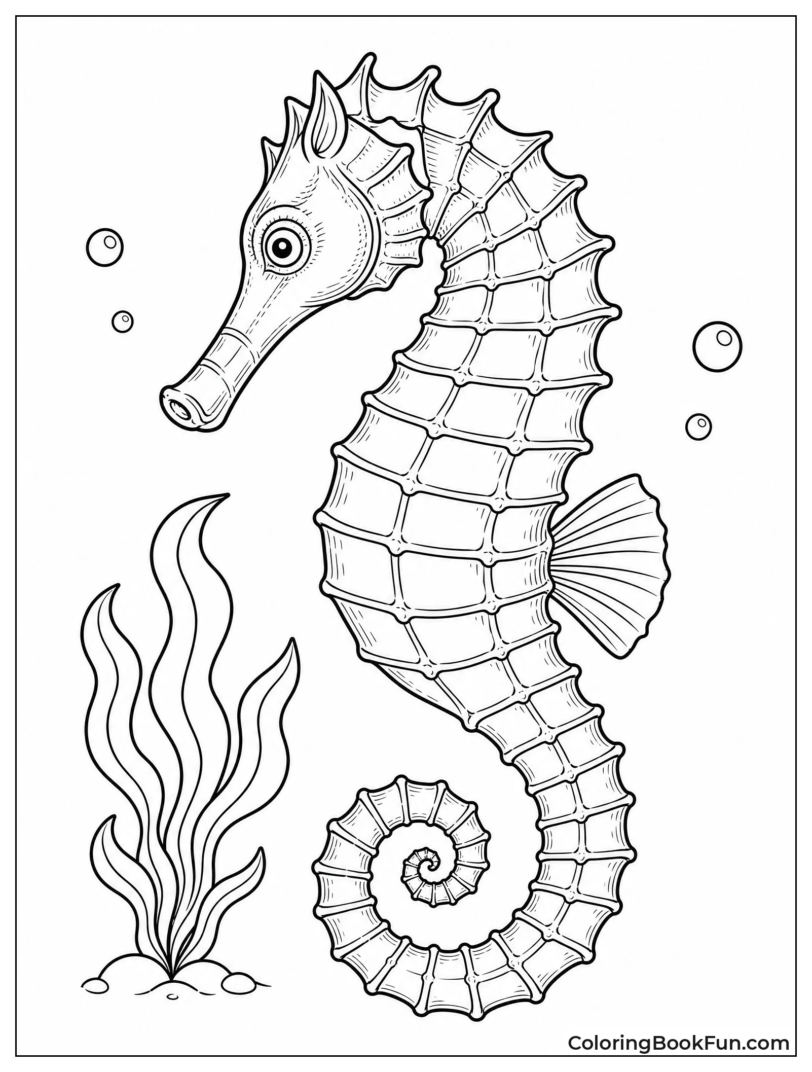 Vintage Seahorse Etching in Detail