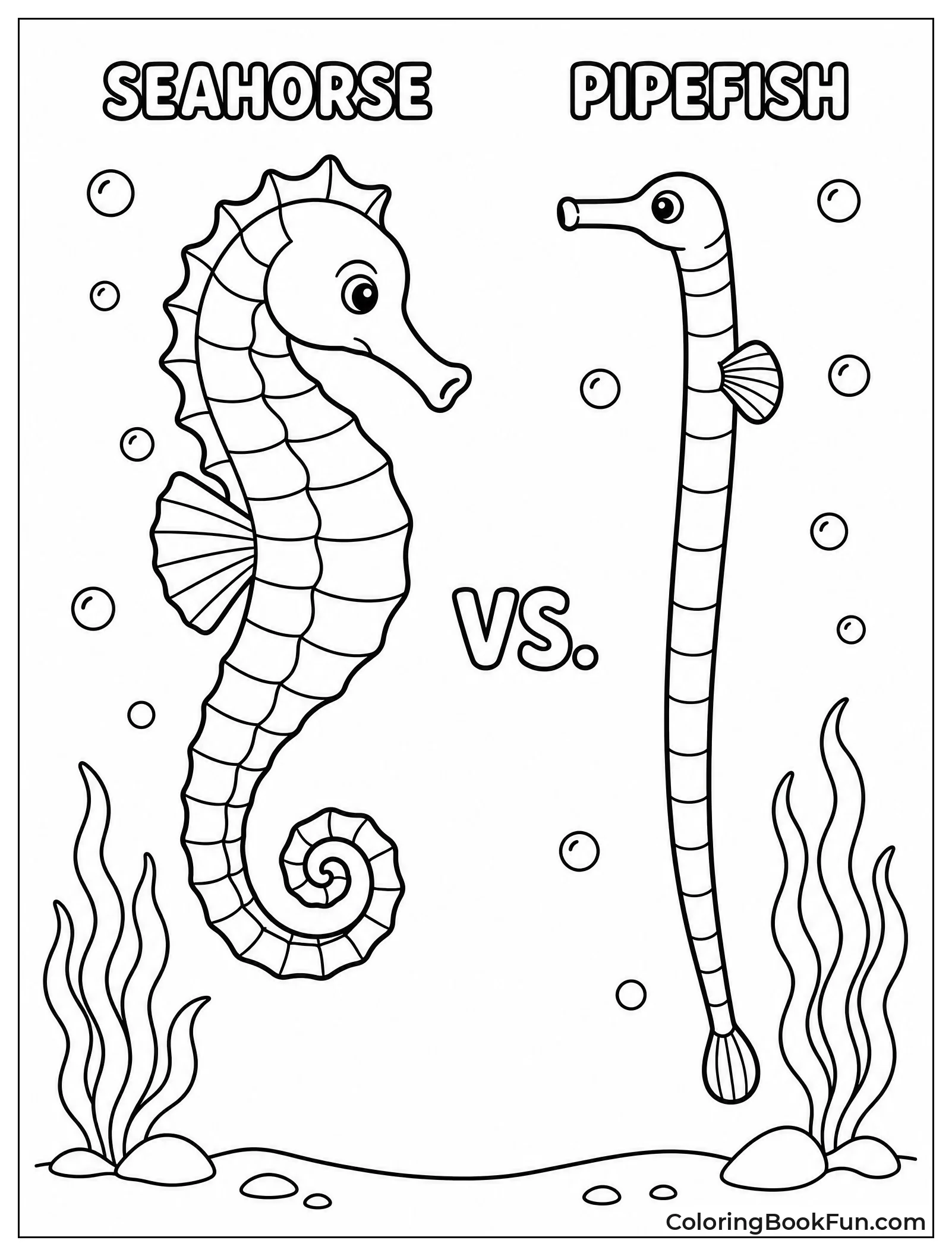 Seahorse Beside Its Pipefish Cousin