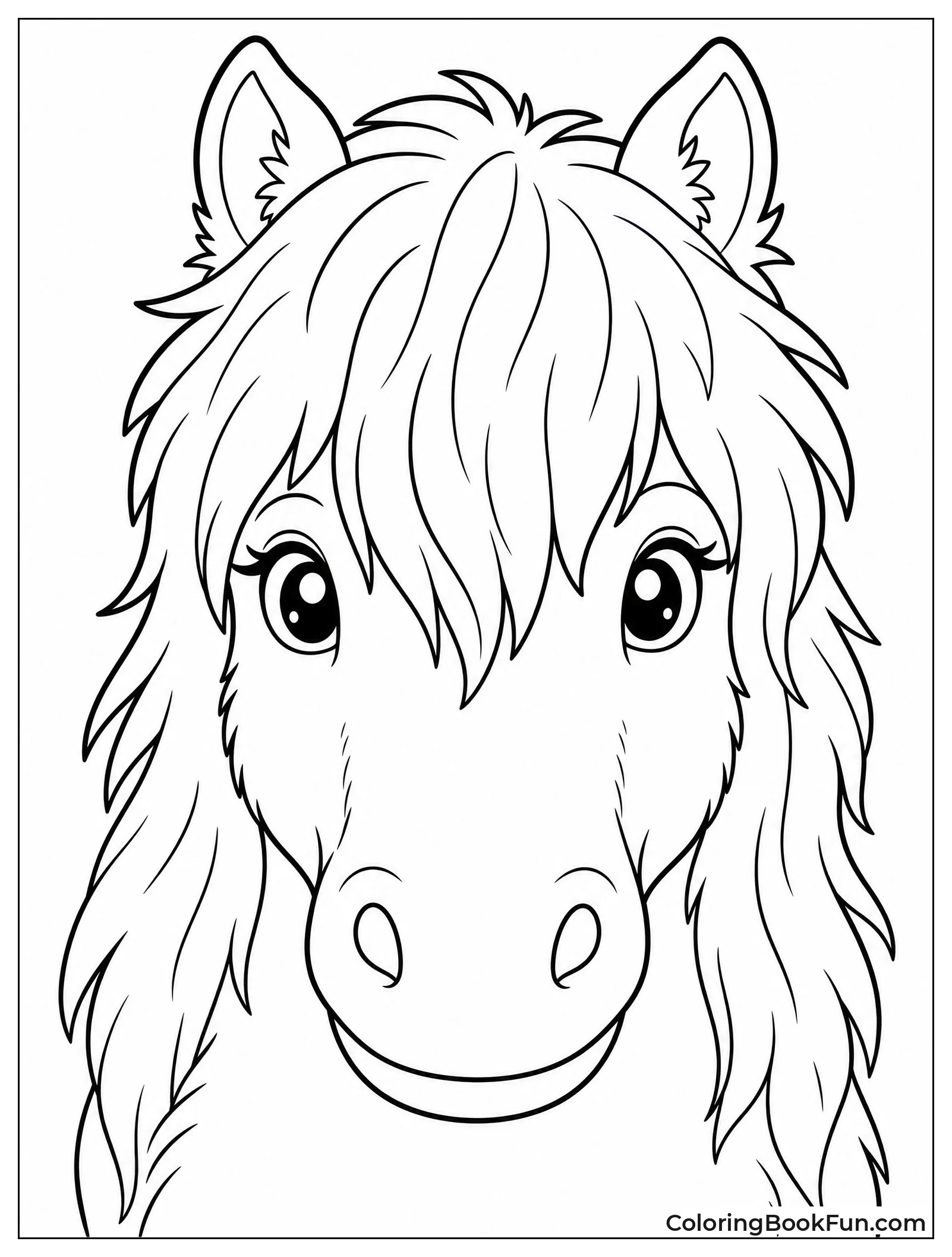 Fluffy Shetland Pony Portrait