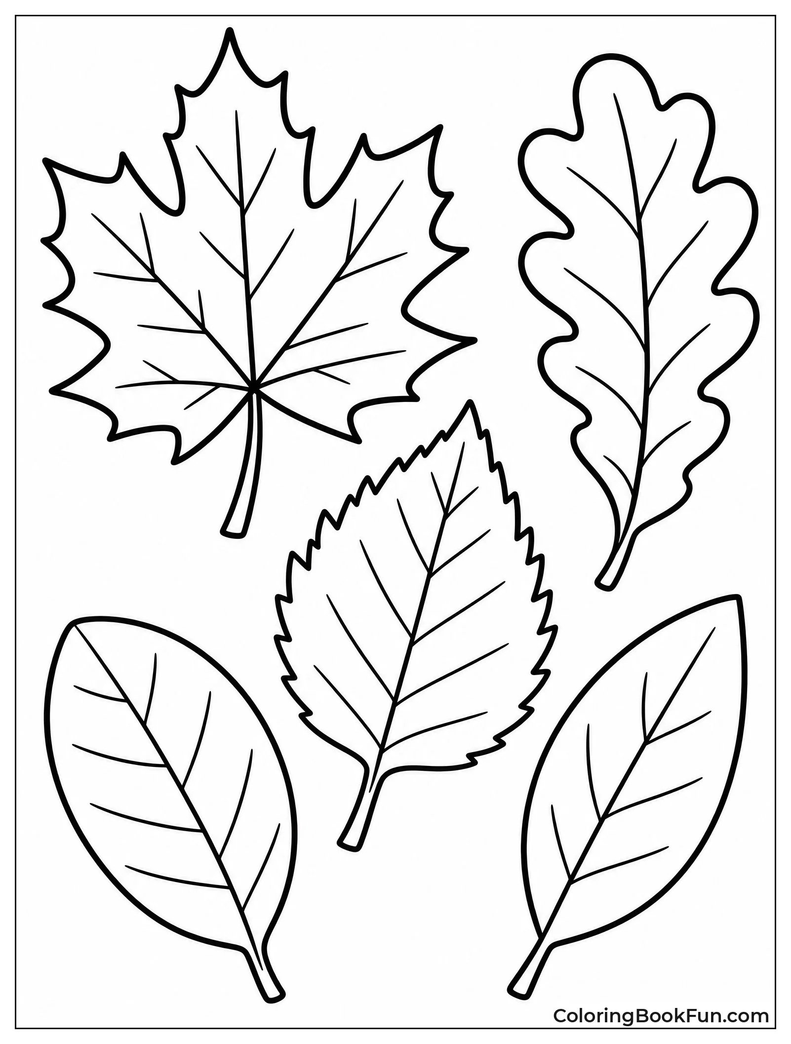 Simple Leaf Shapes for Kids