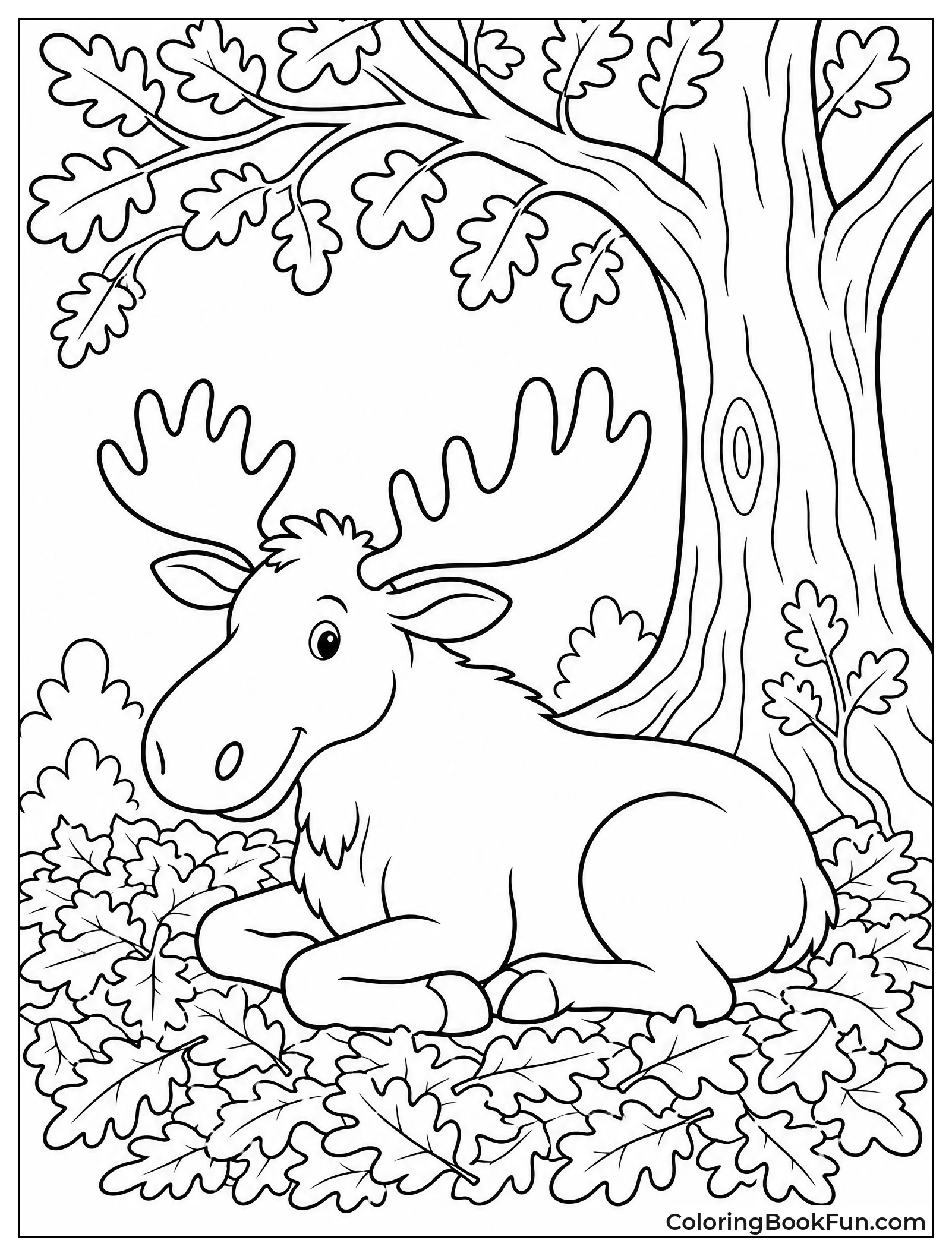 Moose Sleeping Under Oak Tree