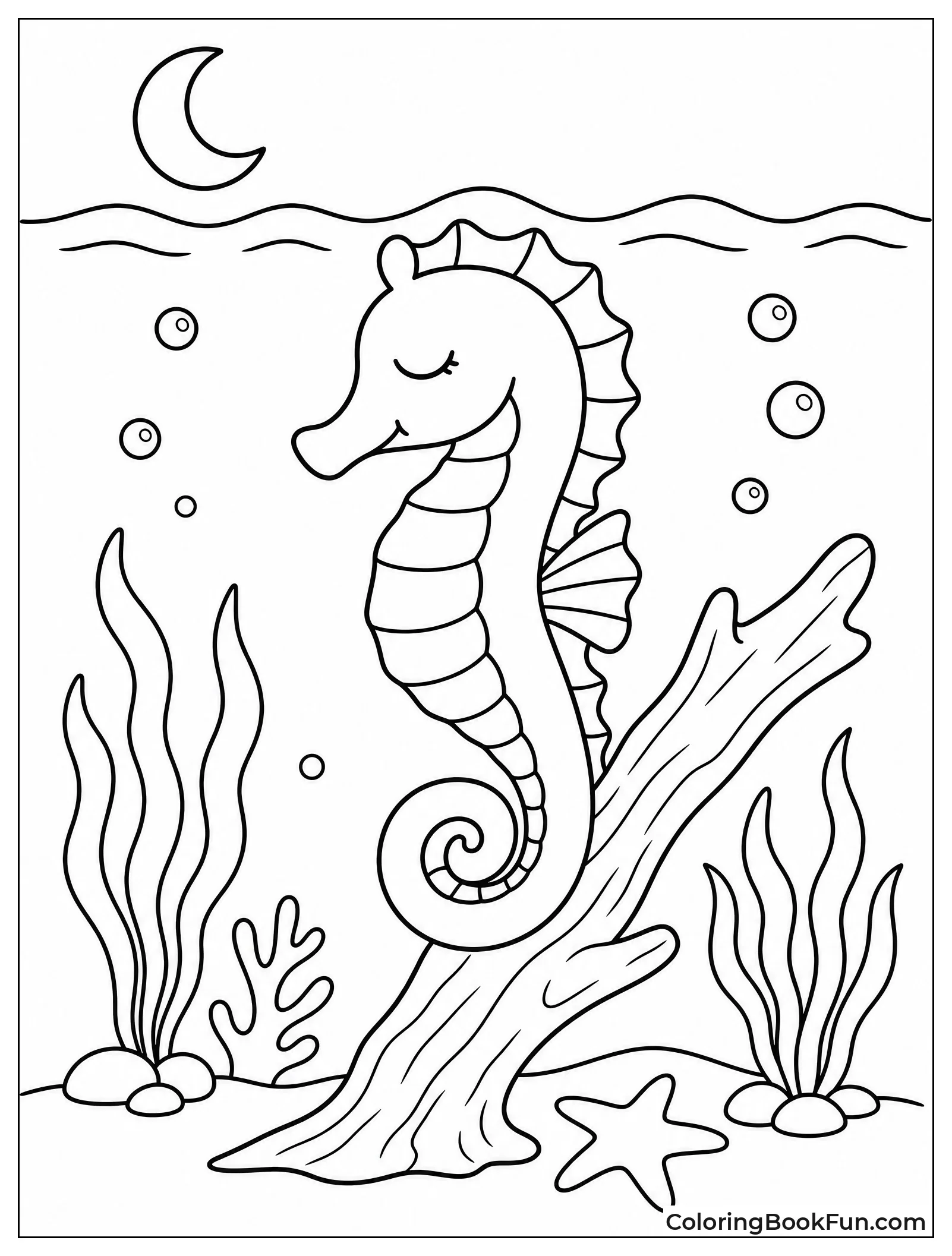Seahorse Sleeping on Driftwood