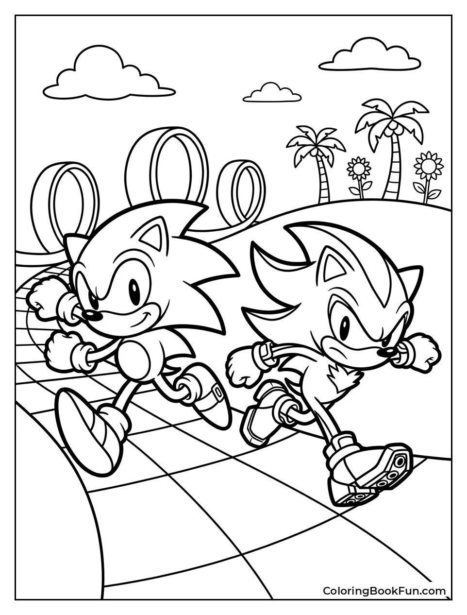 Sonic and Shadow Running in Green Hill