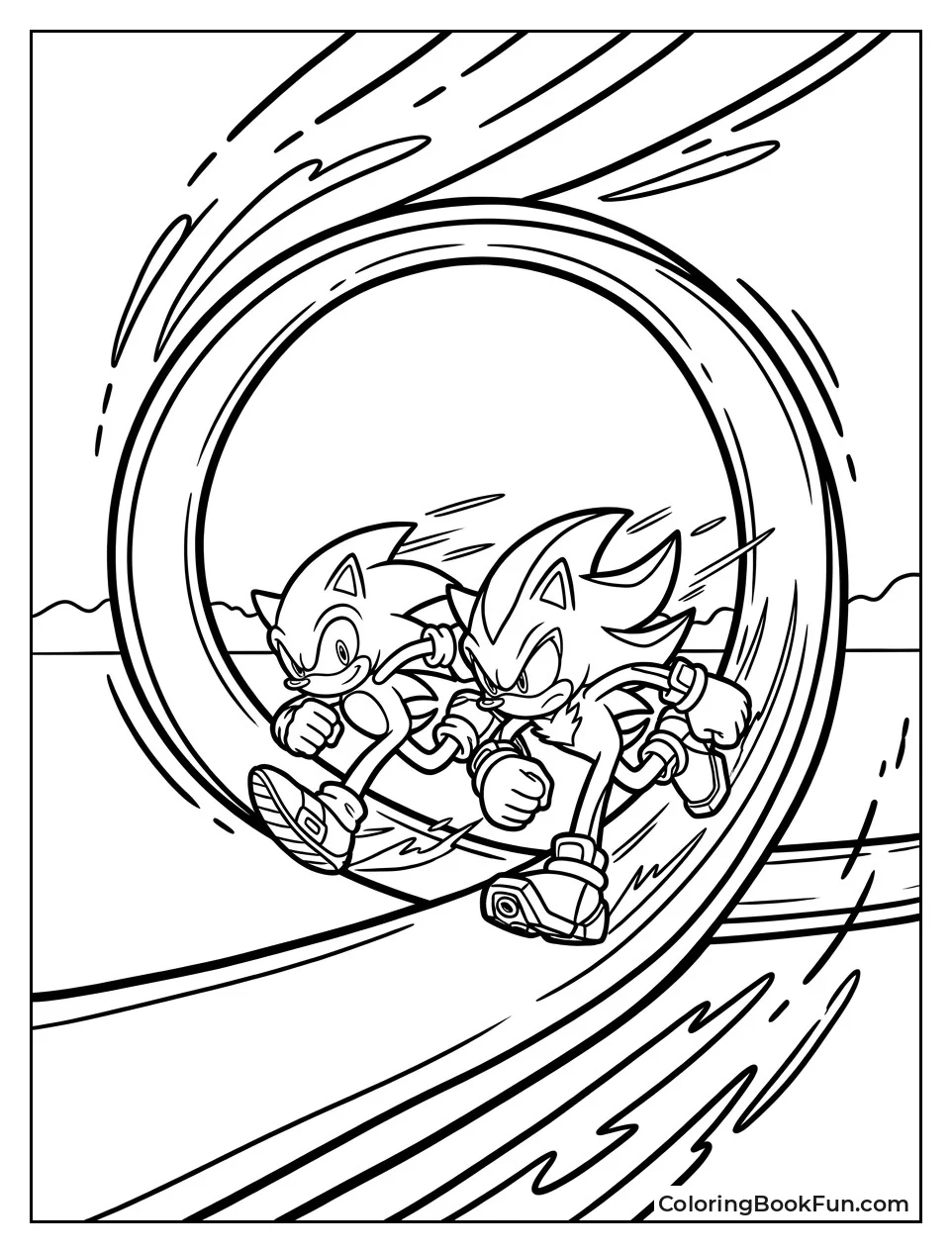 Sonic and Shadow Racing Side by Side