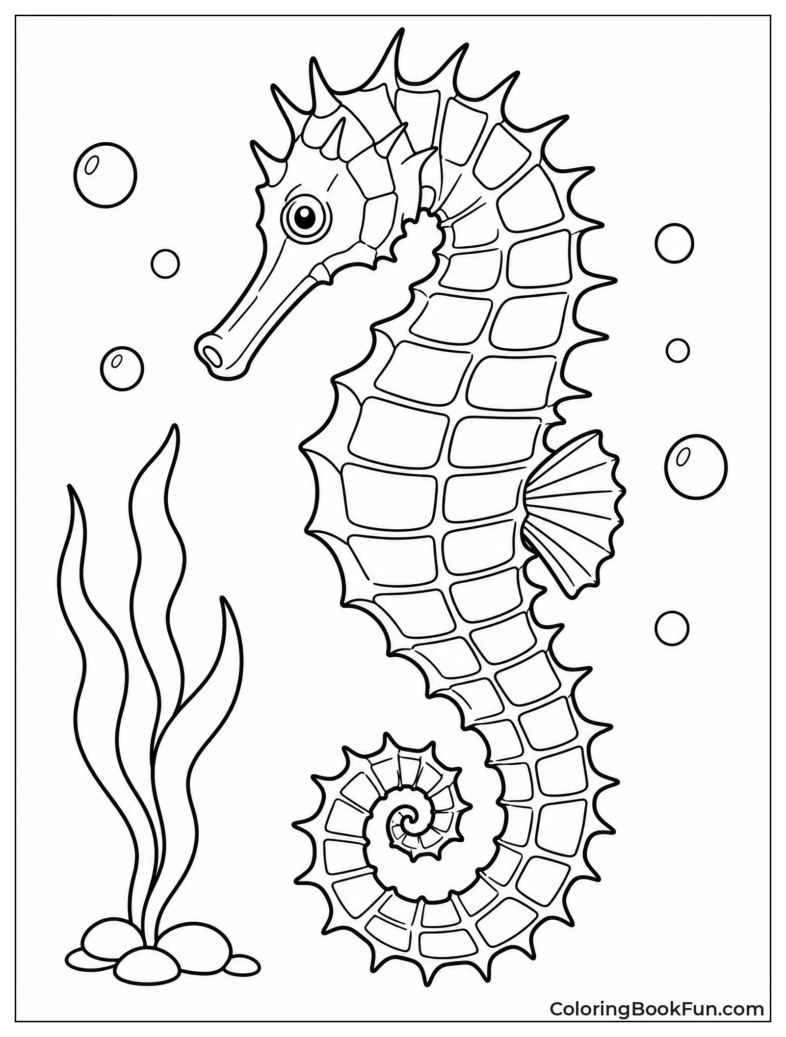 Spiny Seahorse Showing Sharp Thorns