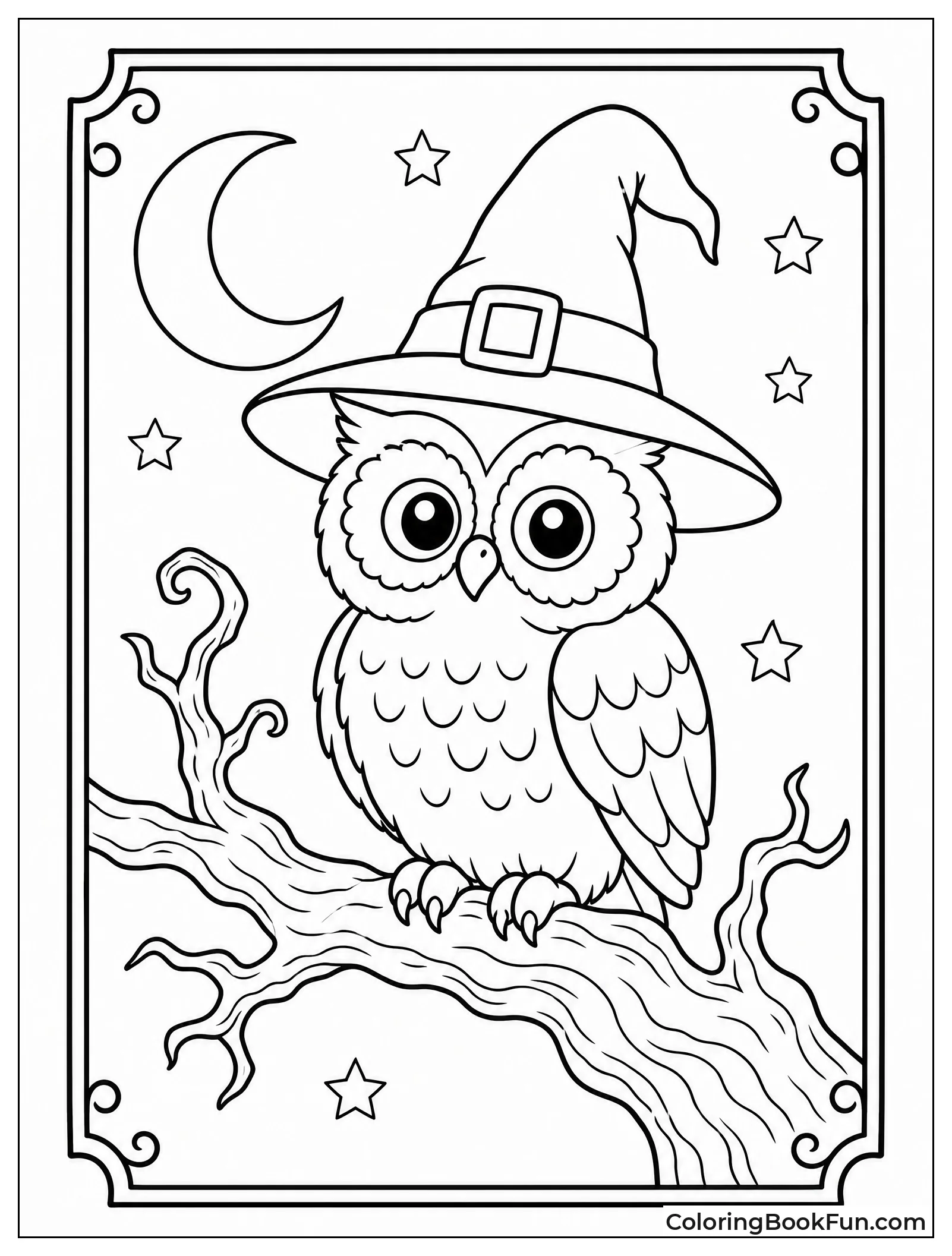 Owl in Witch Hat on Branch