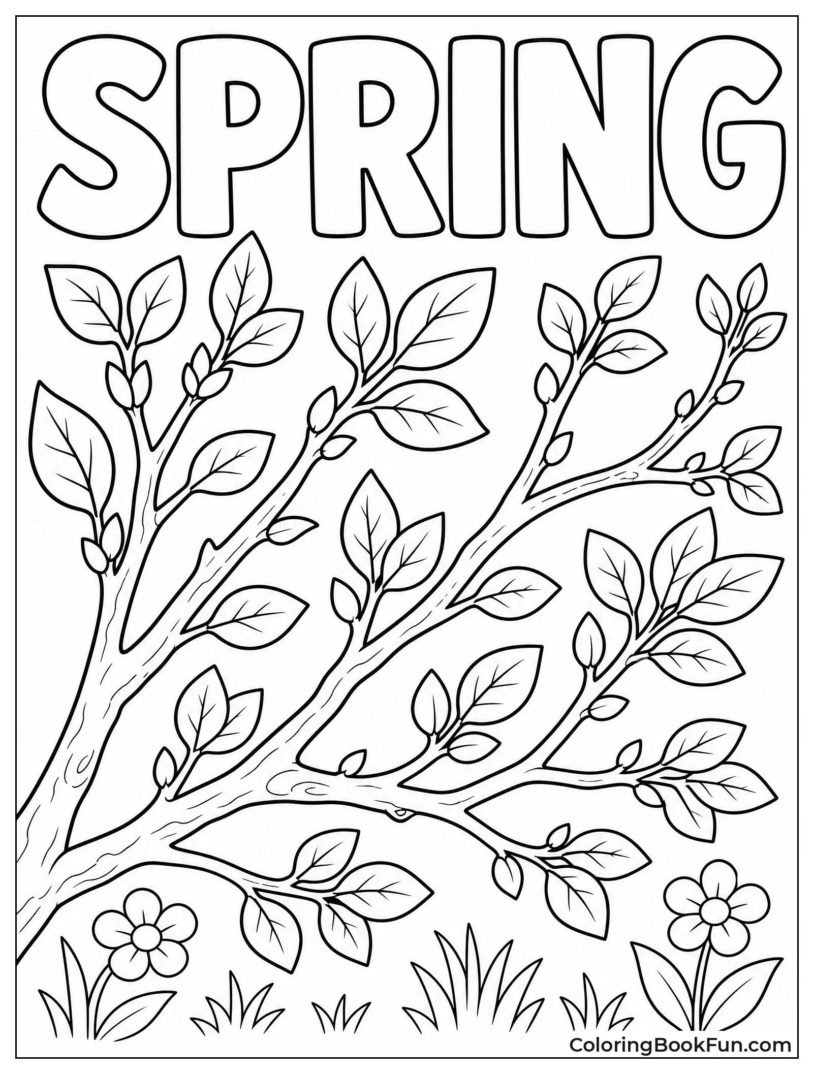 Fresh Green Leaves on Branches