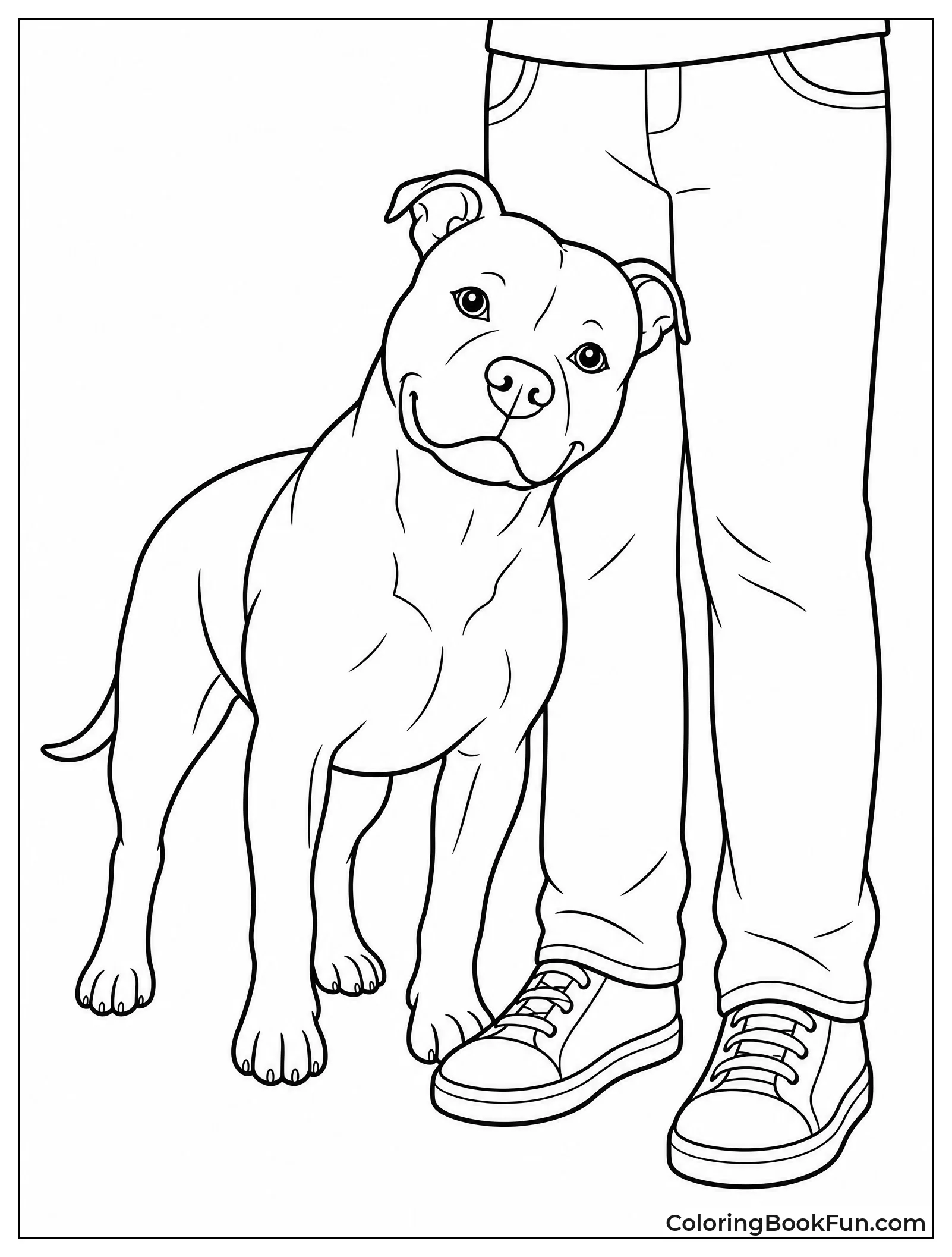Pitbull Leaning Against Person