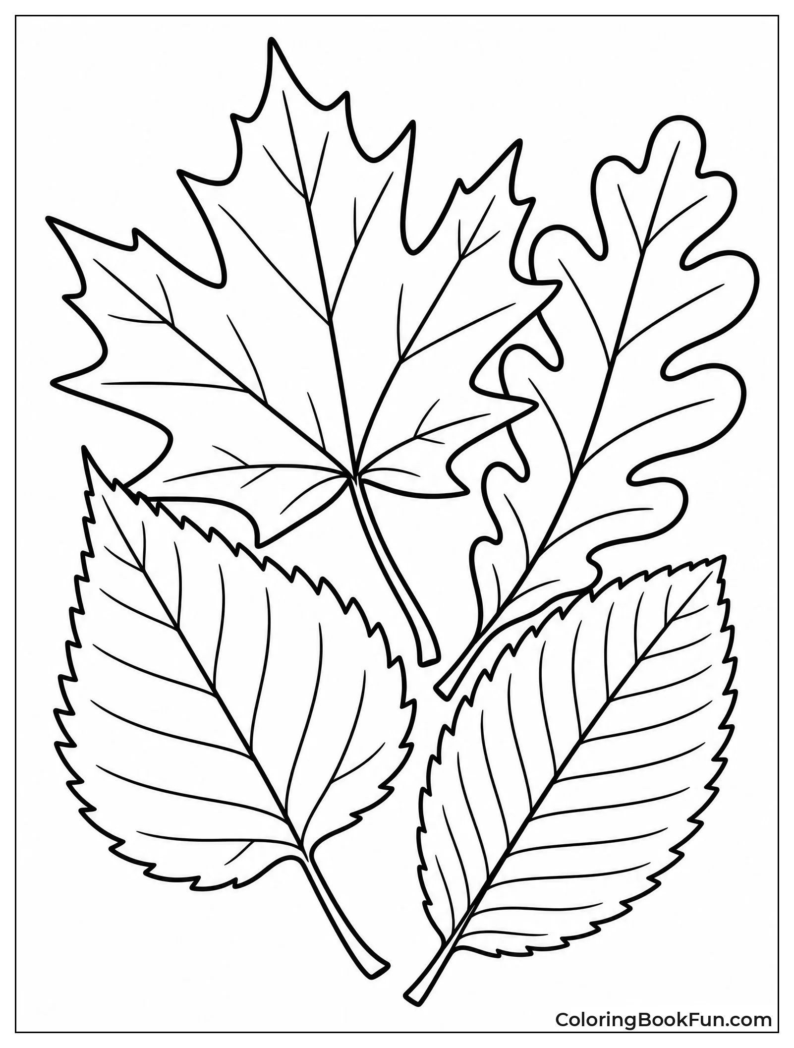 Mix of Different Leaf Types