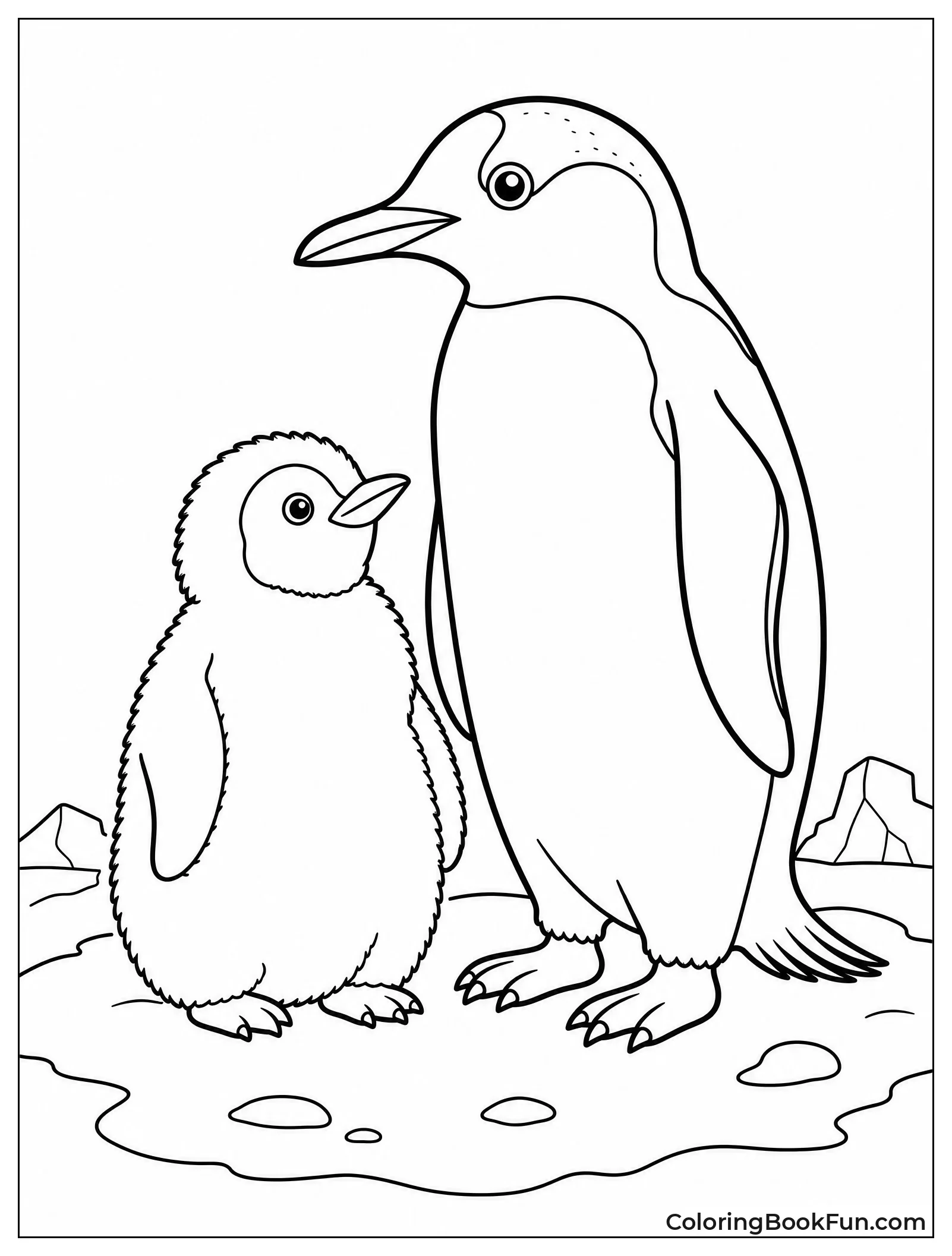 Penguin Chick with Fuzzy Feathers