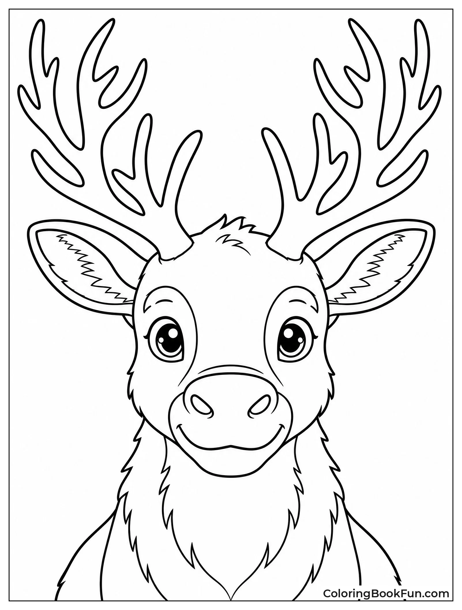 Reindeer Showing Branching Antlers