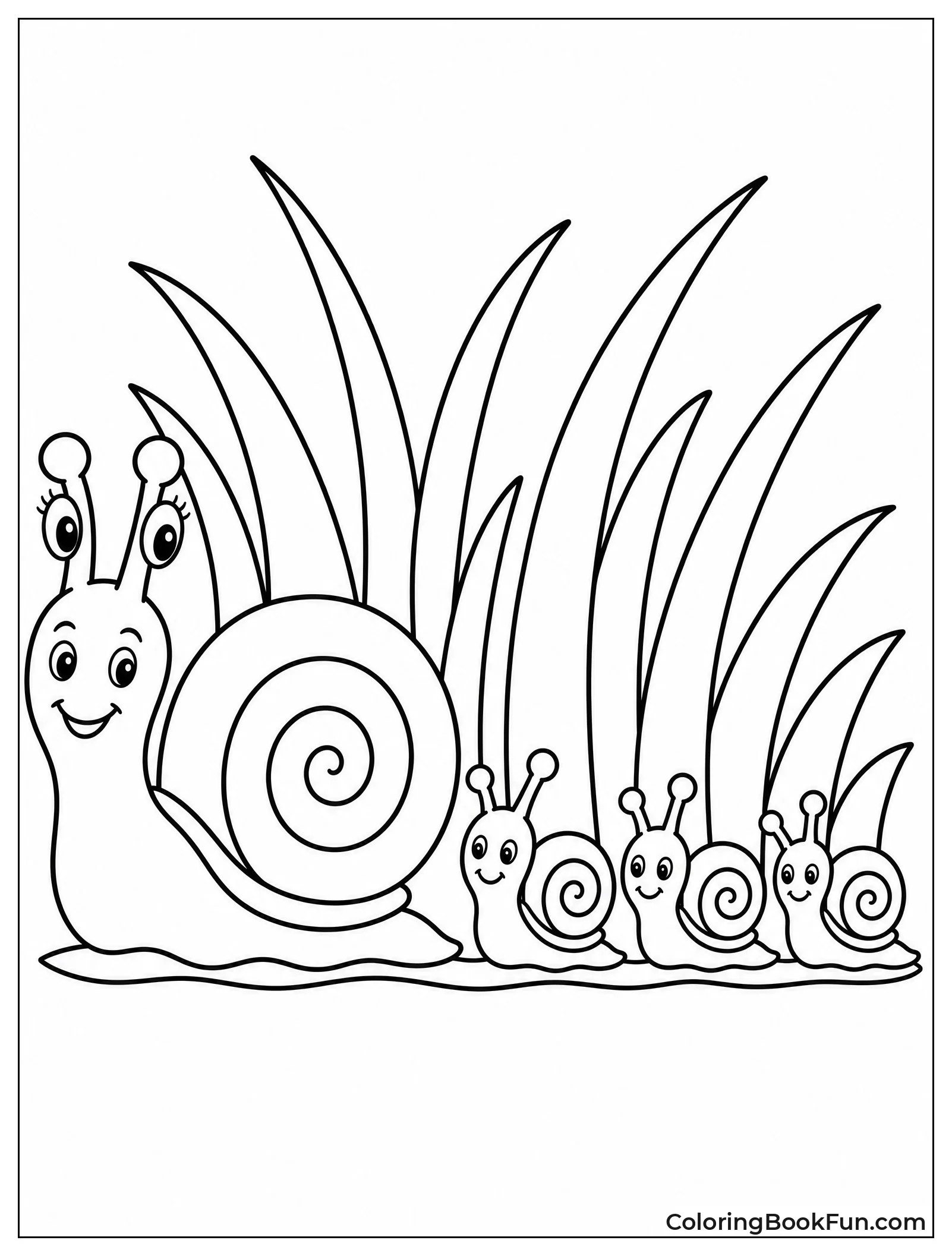 Mother Snail Leads Tiny Babies
