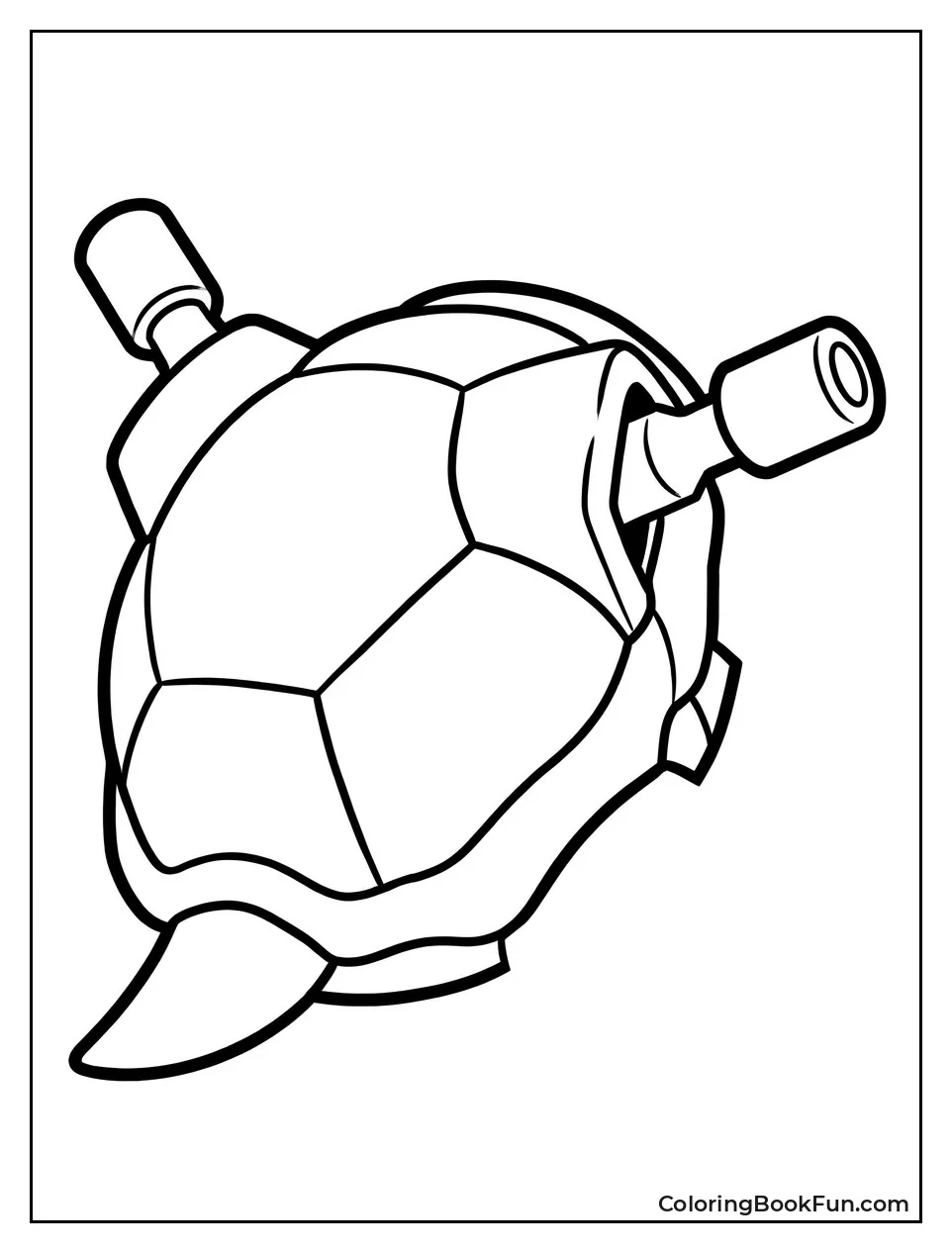 Close Up of Blastoise Shell