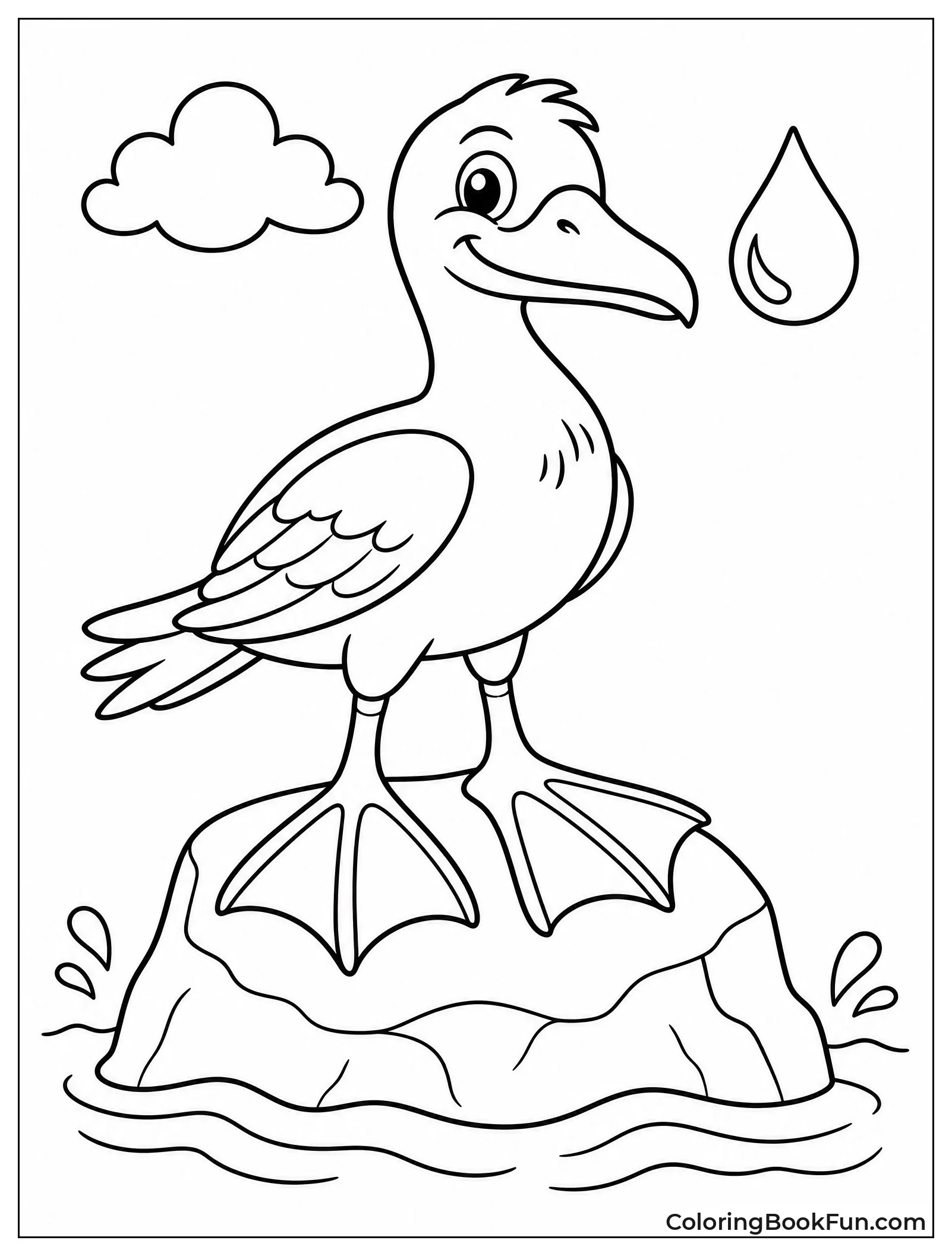 Bird Standing on Rock with Blue Feet