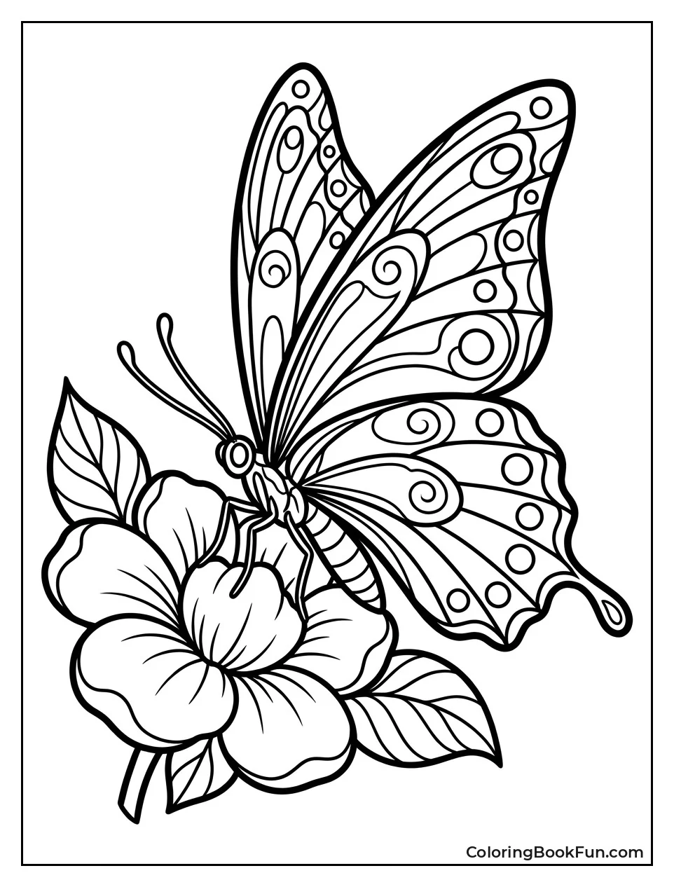 Blue Butterfly Resting on a Flower