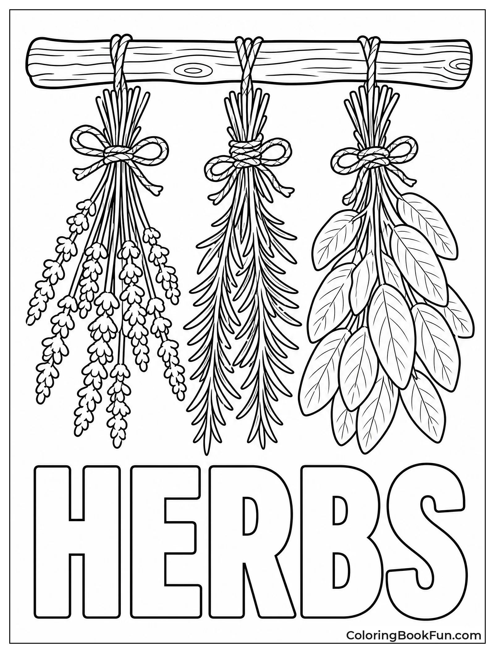 Lavender and Herbs Drying on Rack