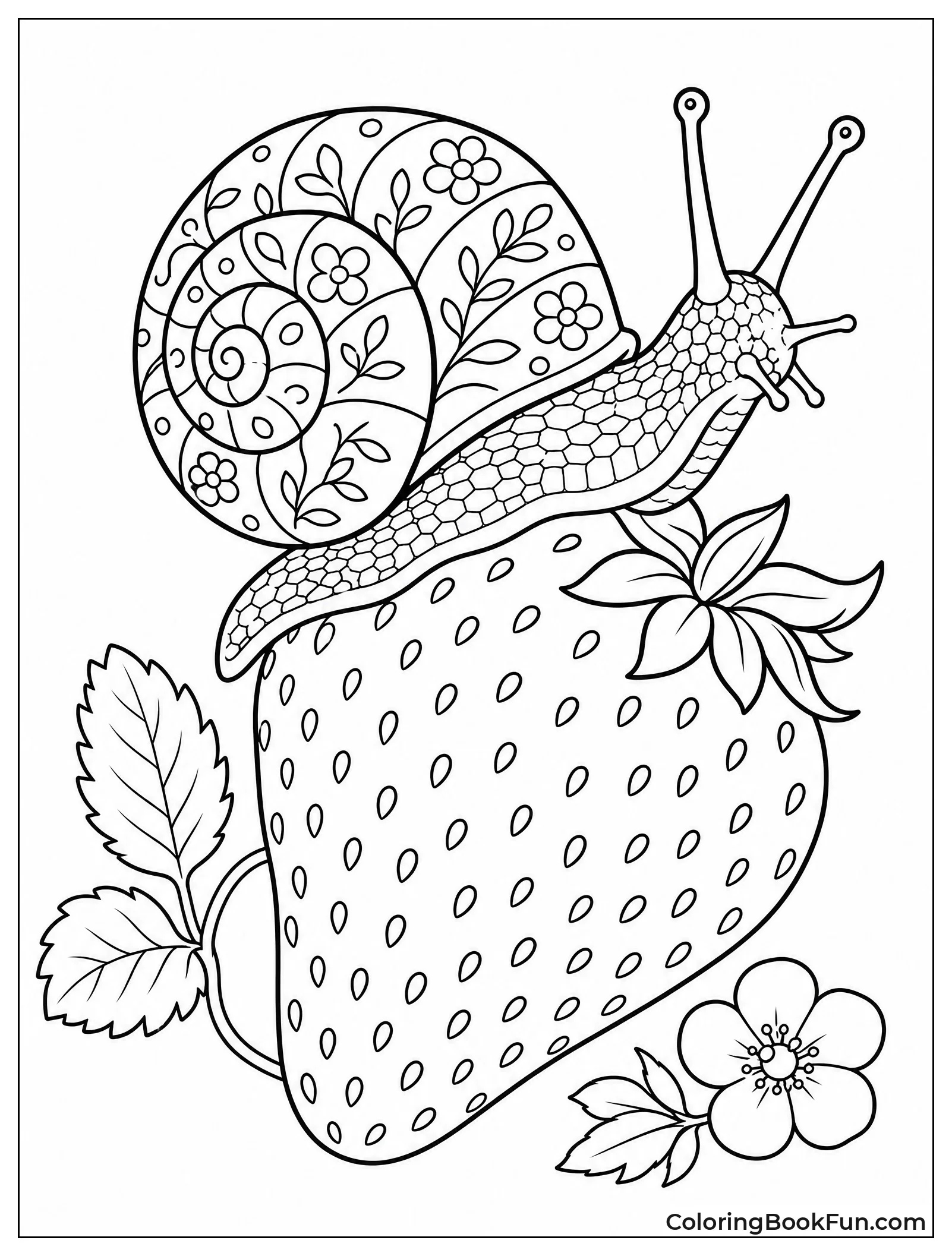 Snail Crawling over a Strawberry