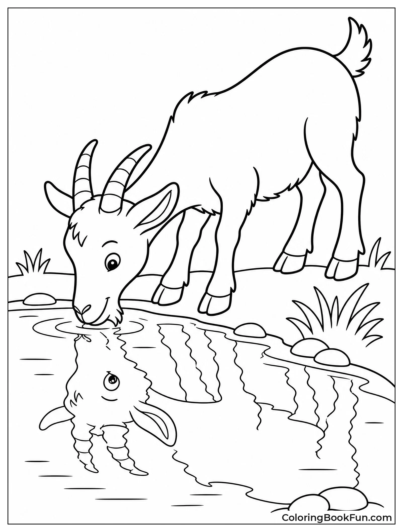 Goat Drinking From Clear Pond