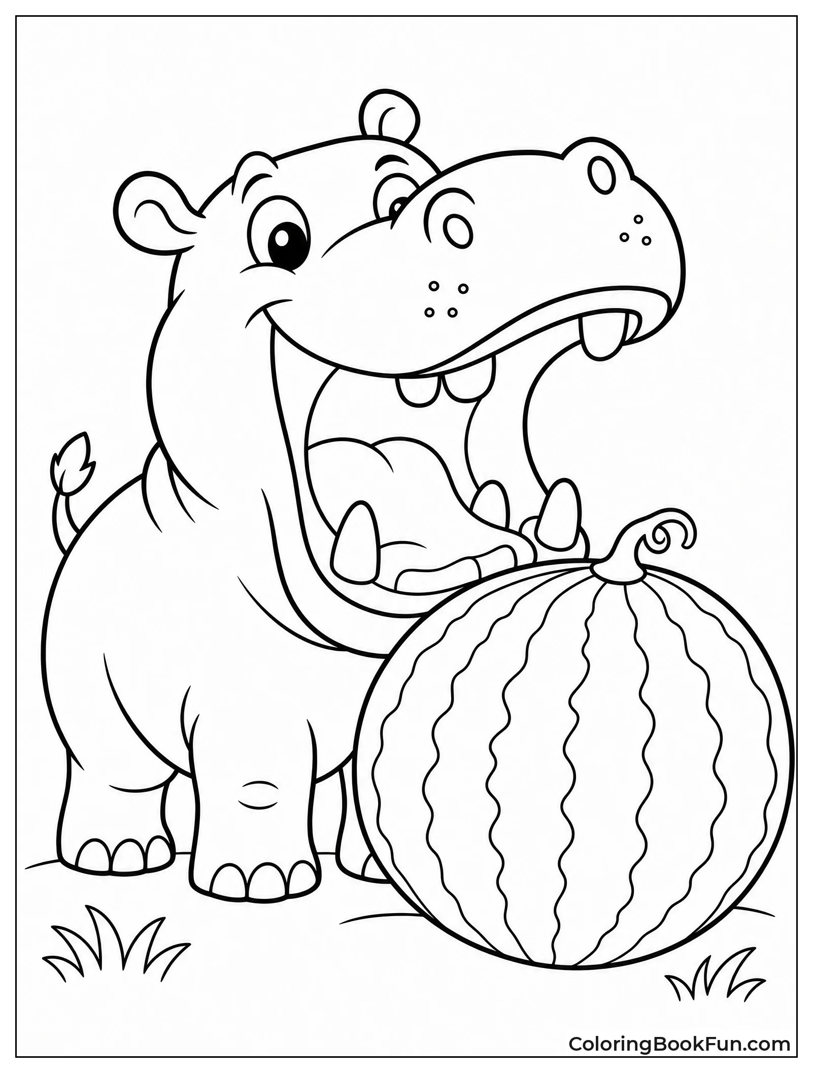 Hippo About to Eat Watermelon