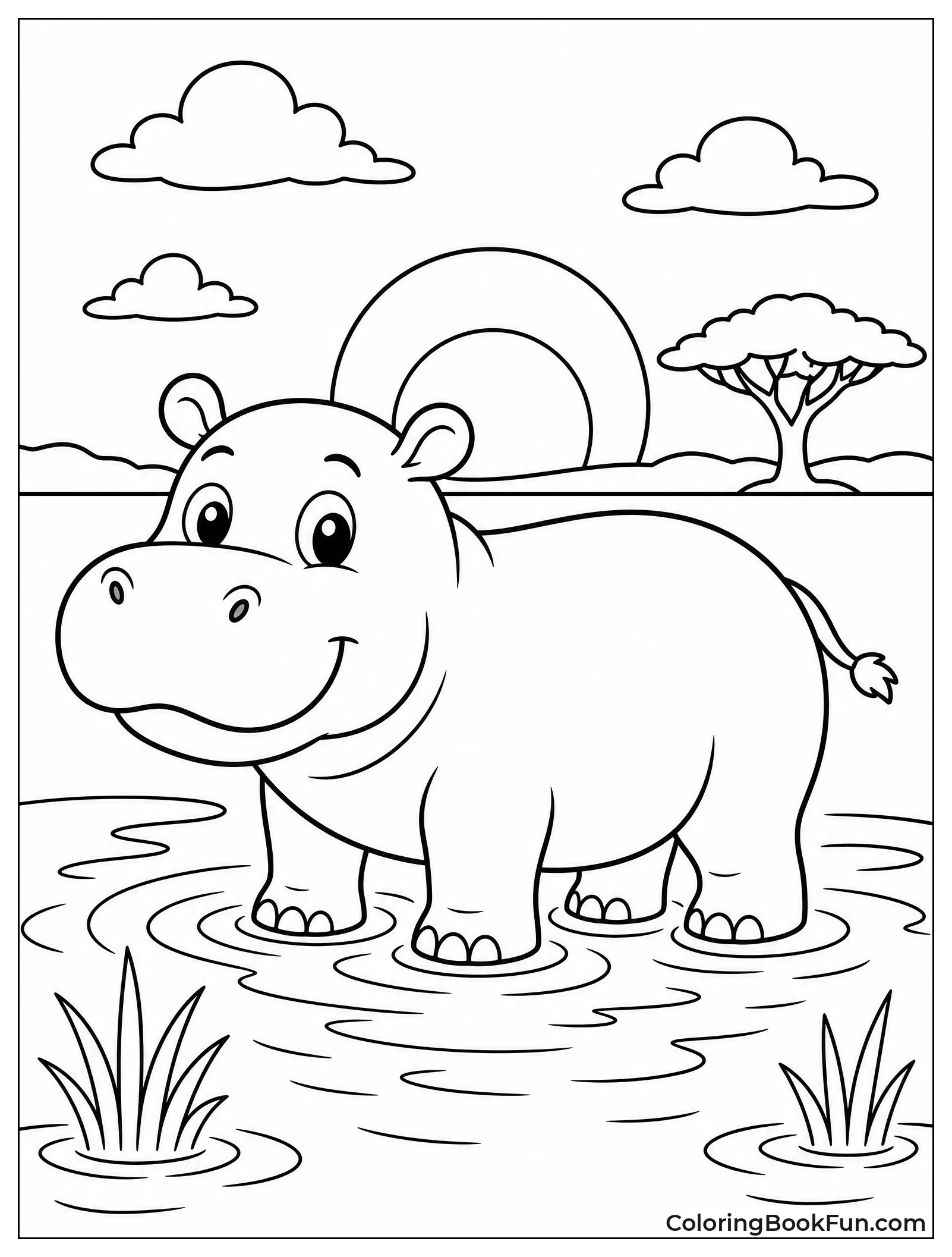 Hippo Silhouette at Sunset