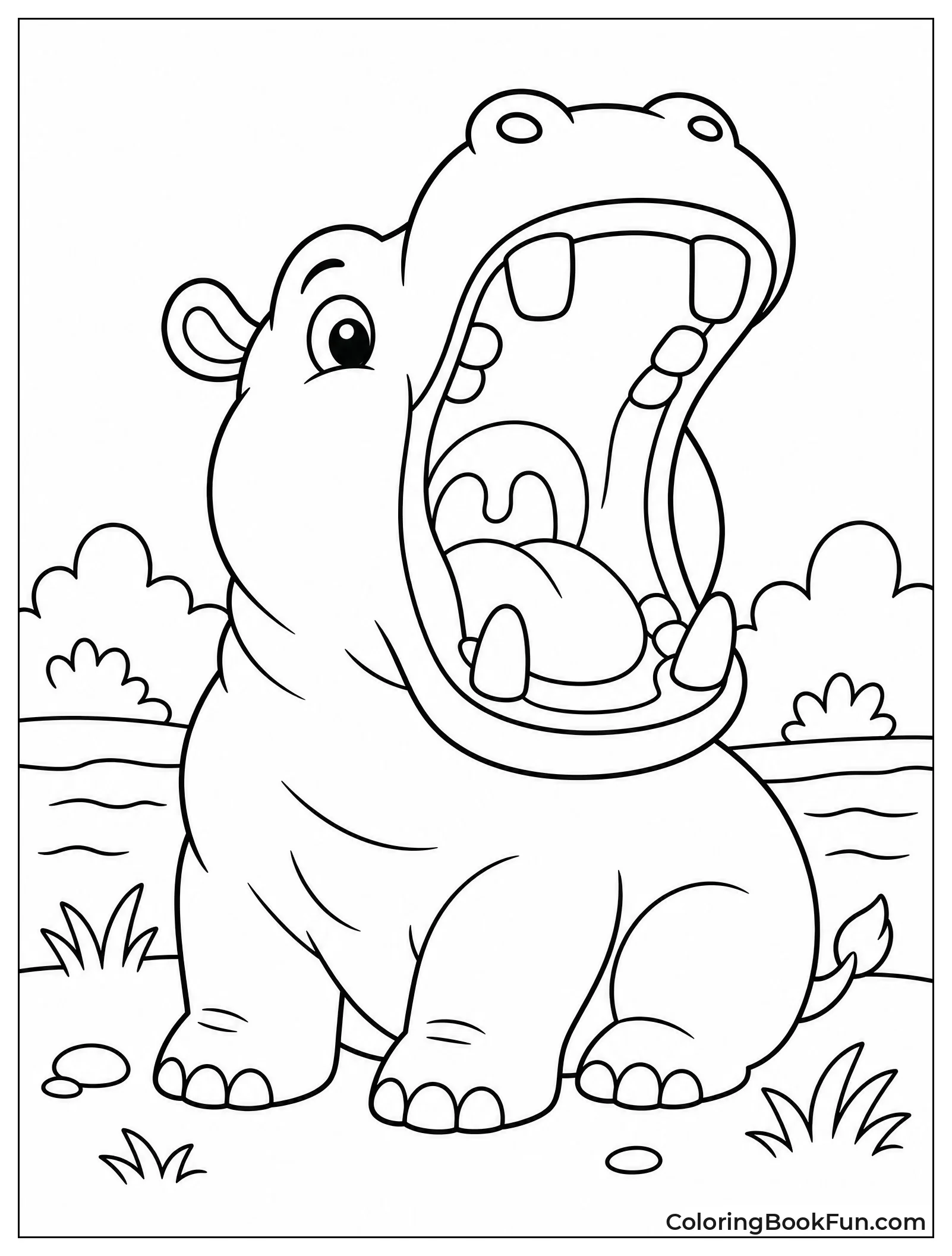 Hippo Yawning with Mouth Open