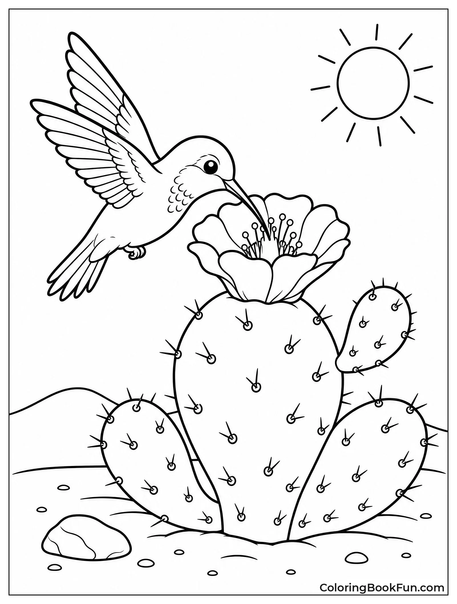 Hummingbird Sipping From Cactus Flower