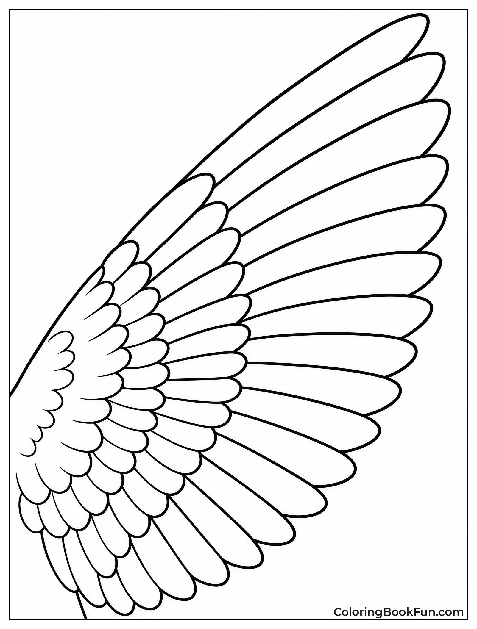 Detailed Close-up of Wing Feathers